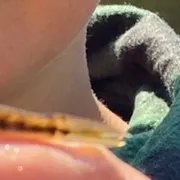 The most recent Eurasian minnow catches on Fishbrain