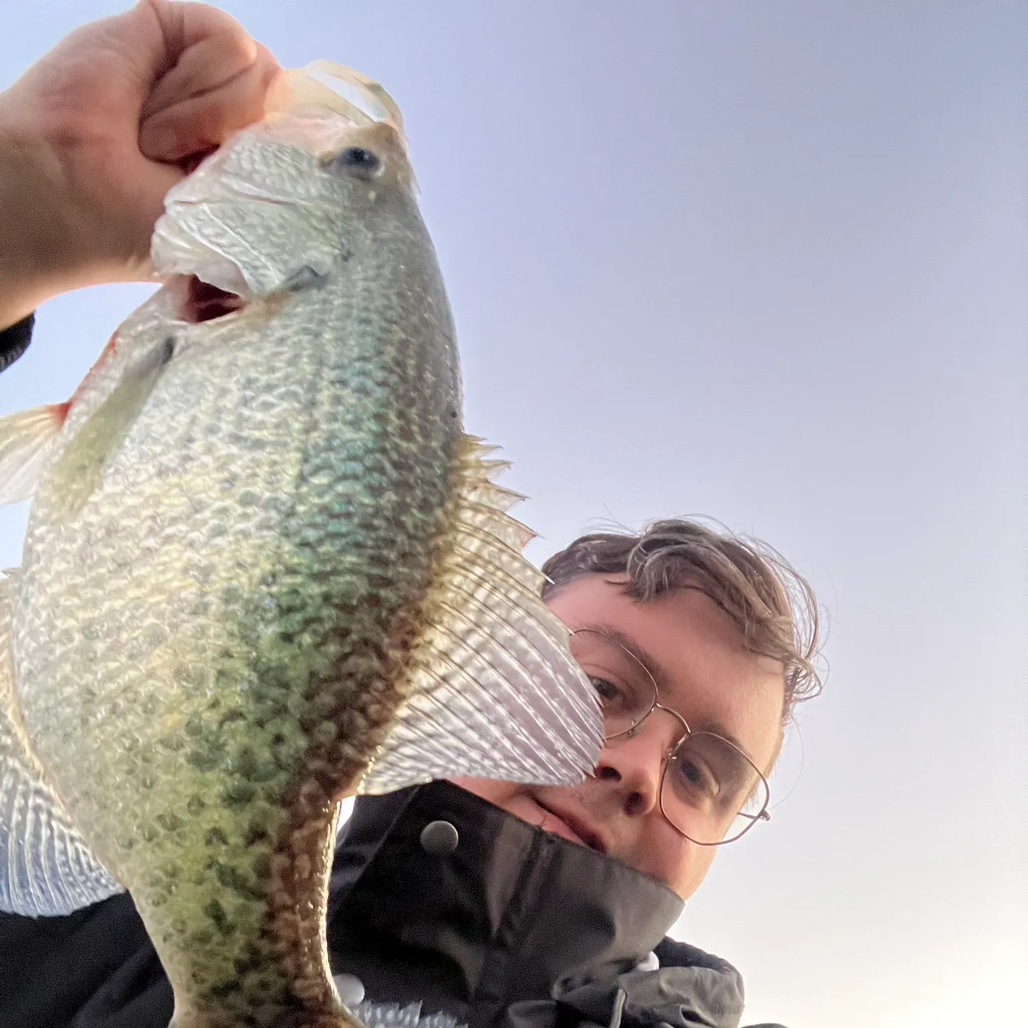 White crappie caught on Fishbrain