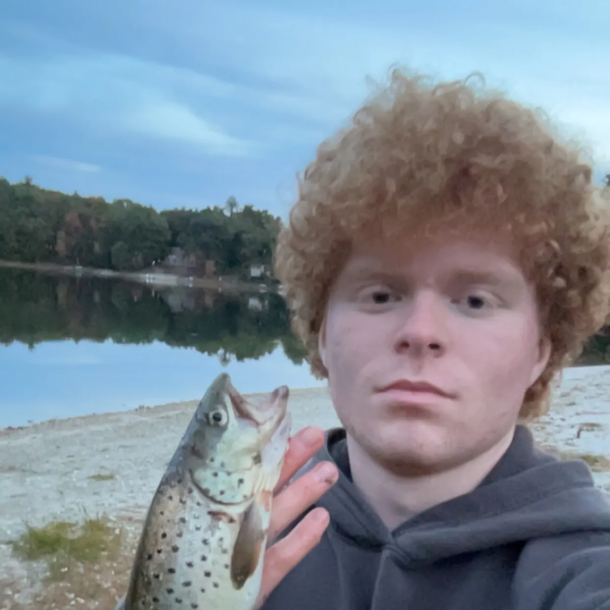 Brown trout caught on Fishbrain