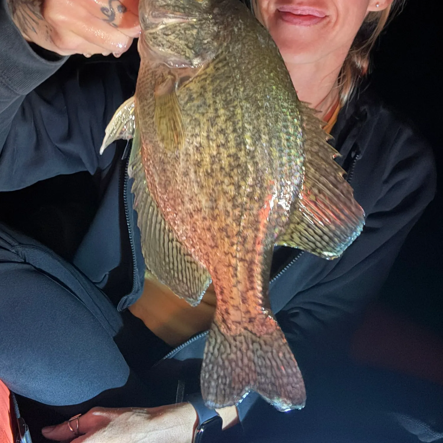 Black crappie caught on Fishbrain