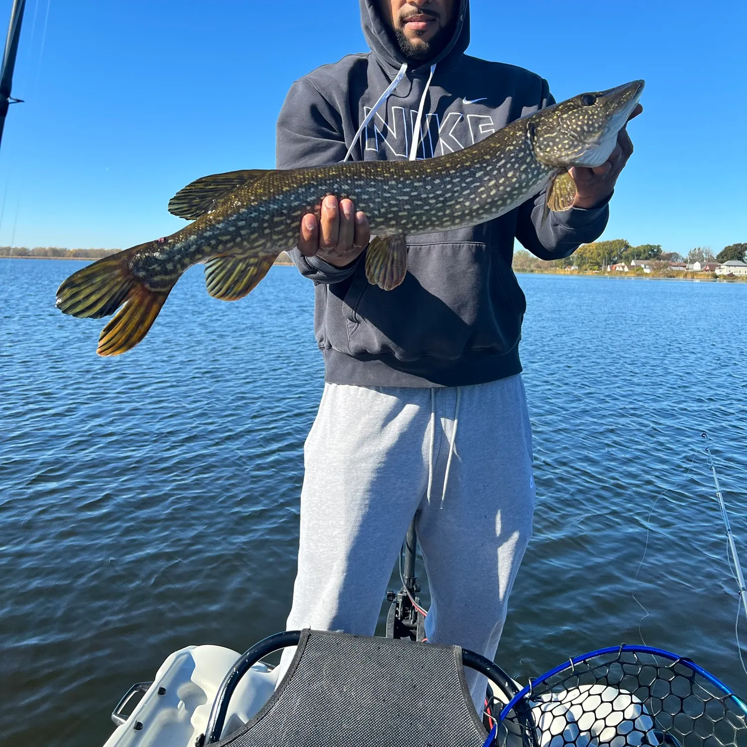 Northern pike caught on Fishbrain
