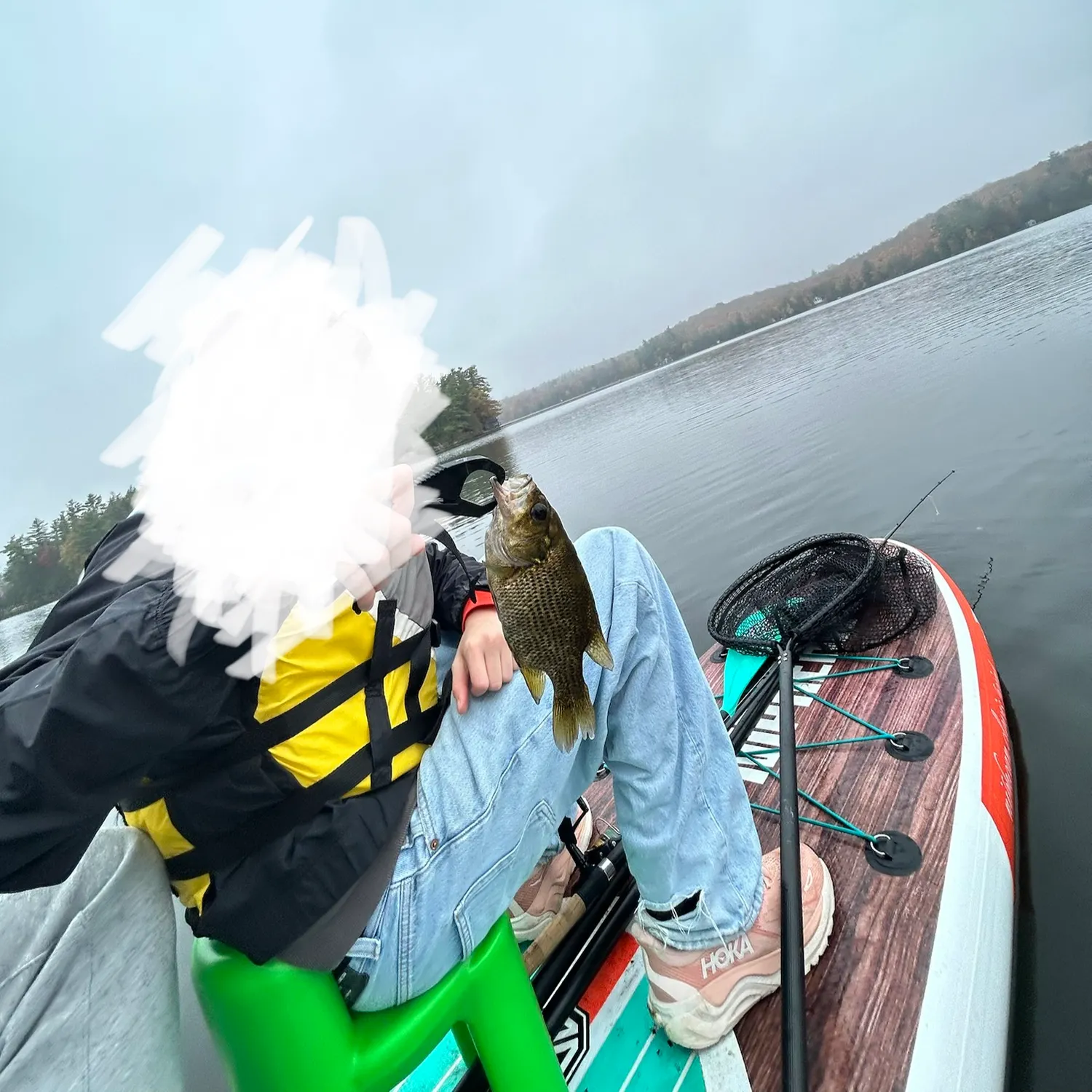 Rock bass caught on Fishbrain