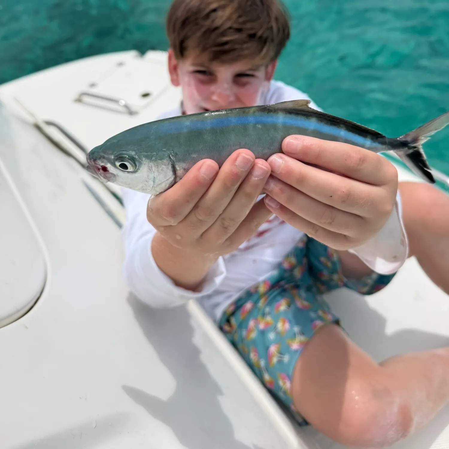 Blue runner caught on Fishbrain