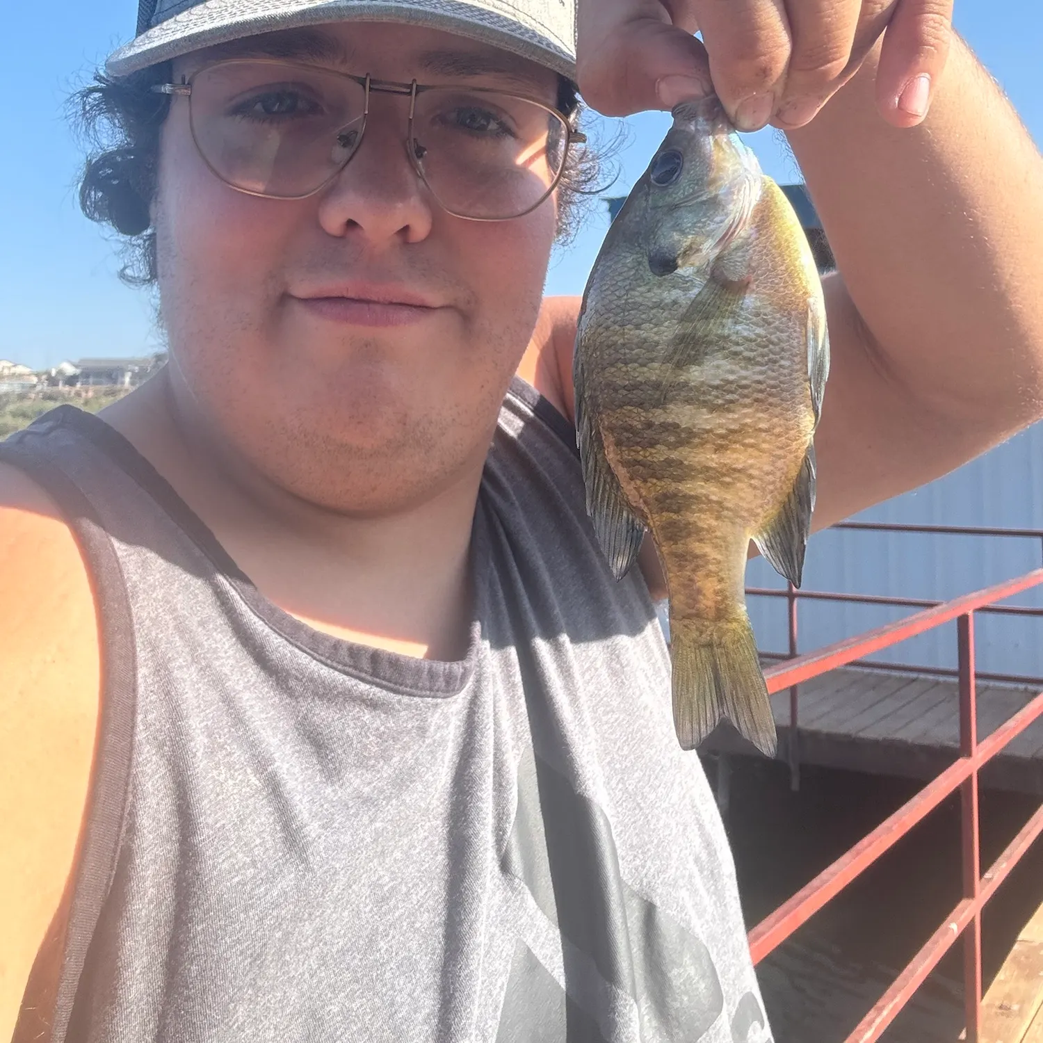 Fish caught on Fishbrain