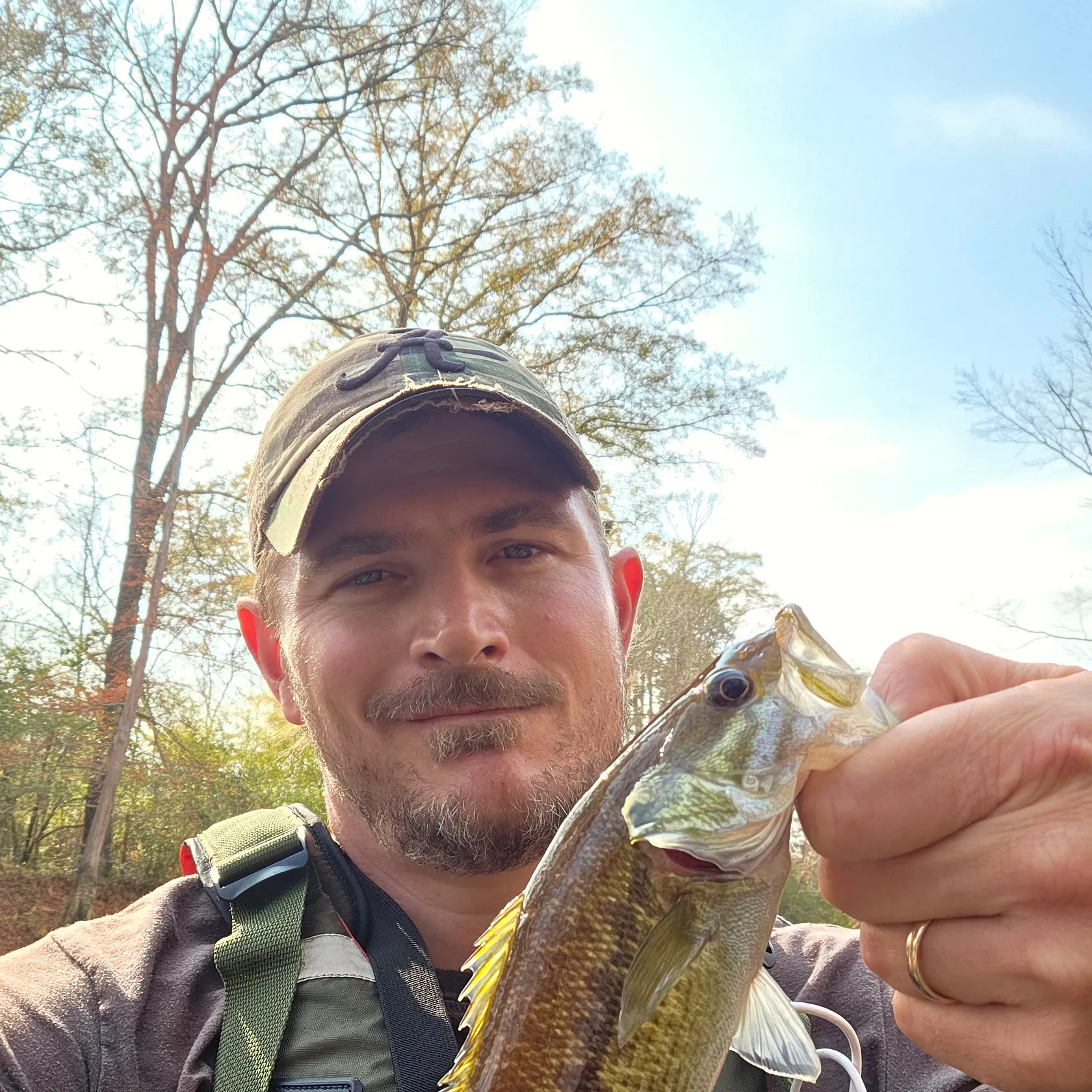 The most recent Alabama bass catches on Fishbrain