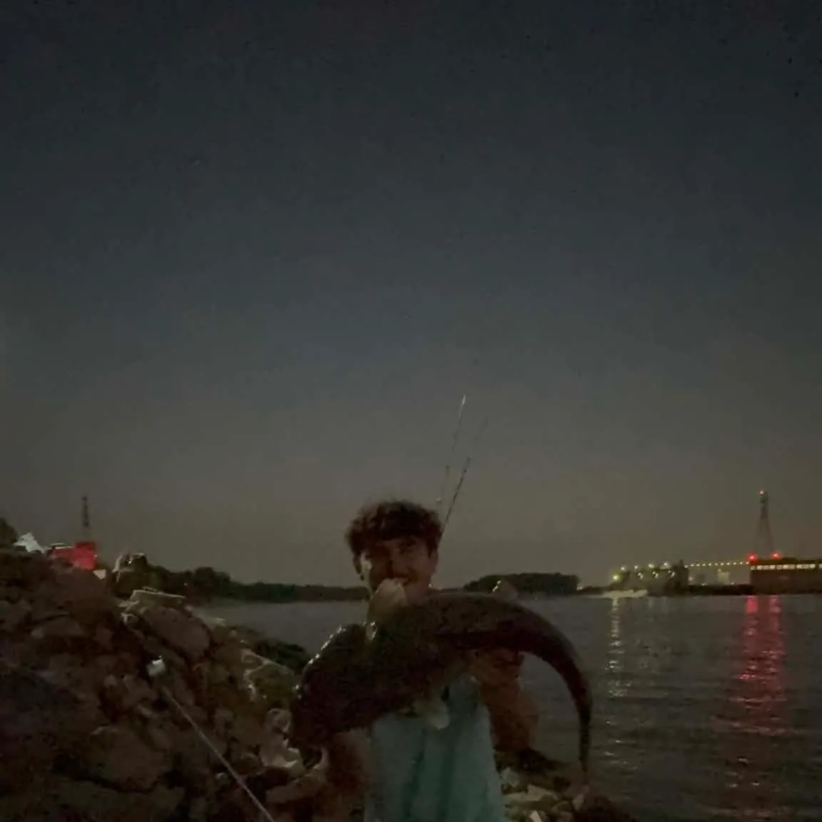 Flathead catfish caught on Fishbrain