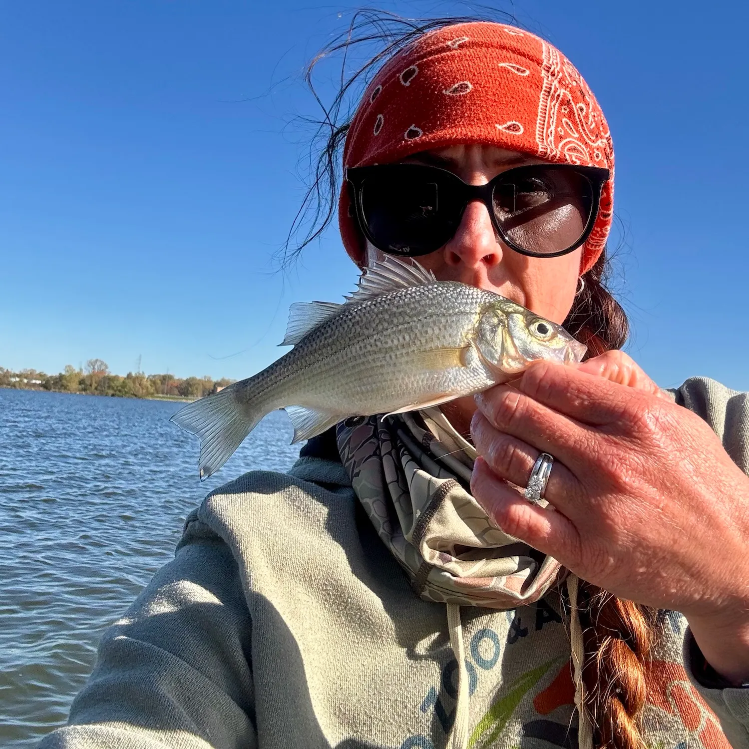 White perch caught on Fishbrain