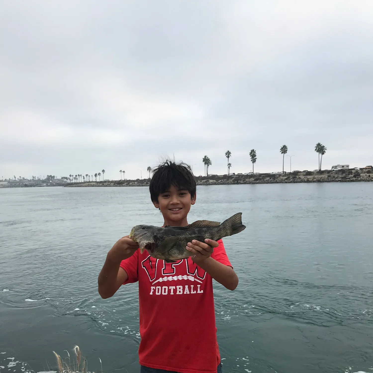 The most recent Spotted sand bass catches on Fishbrain