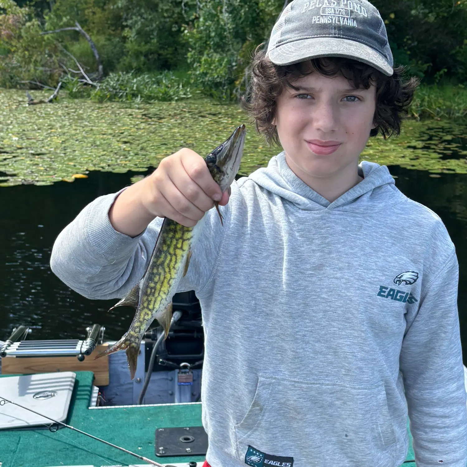 Chain pickerel caught on Fishbrain