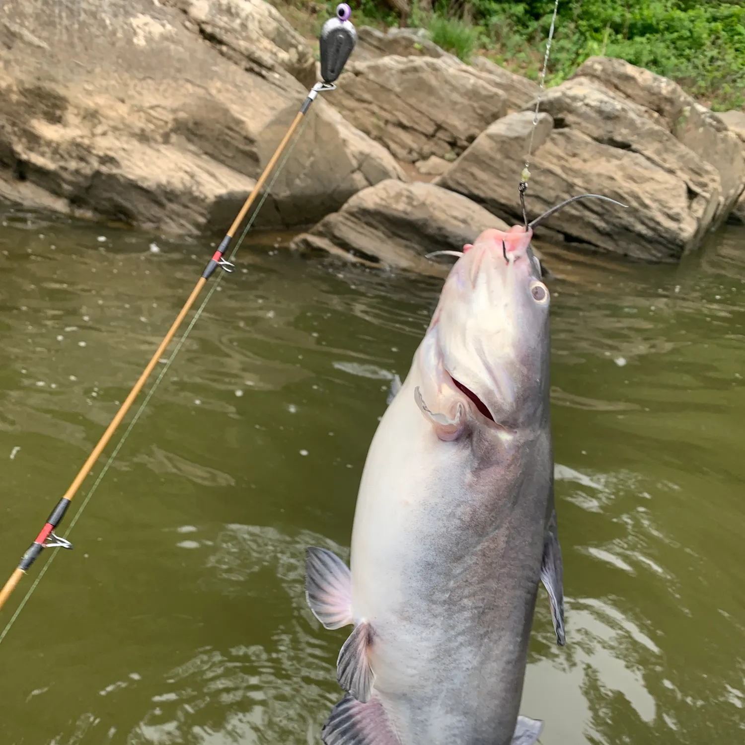 catch