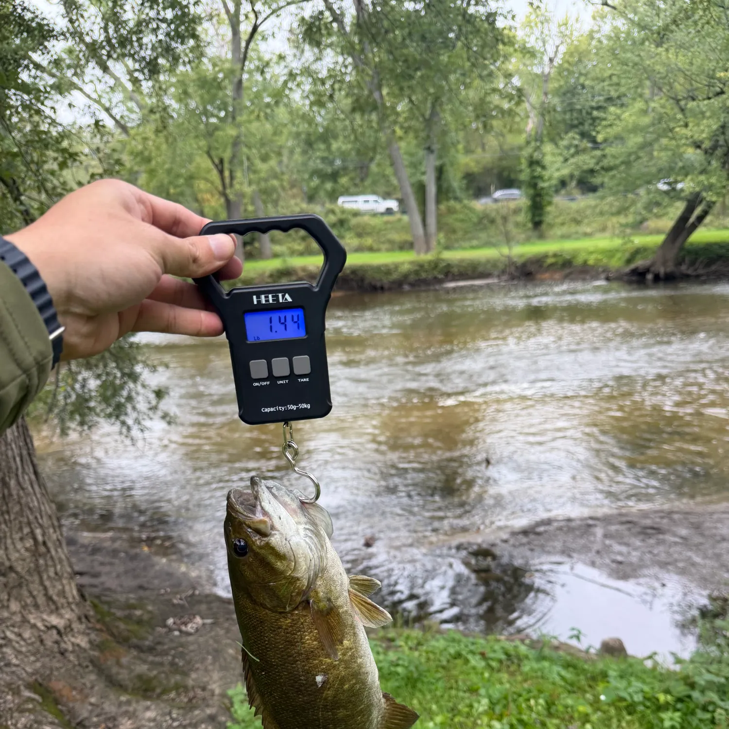 Smallmouth bass caught on Fishbrain