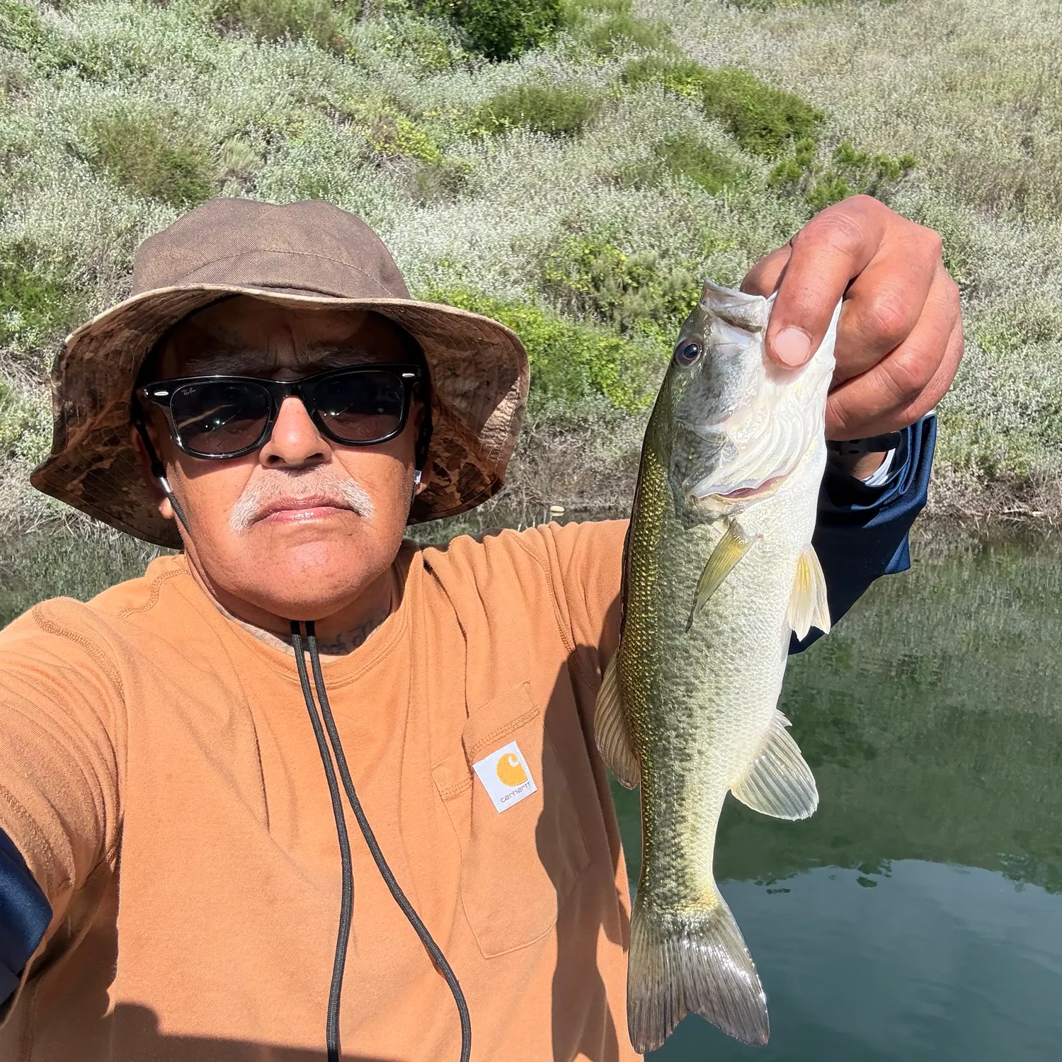 Largemouth bass caught on Fishbrain