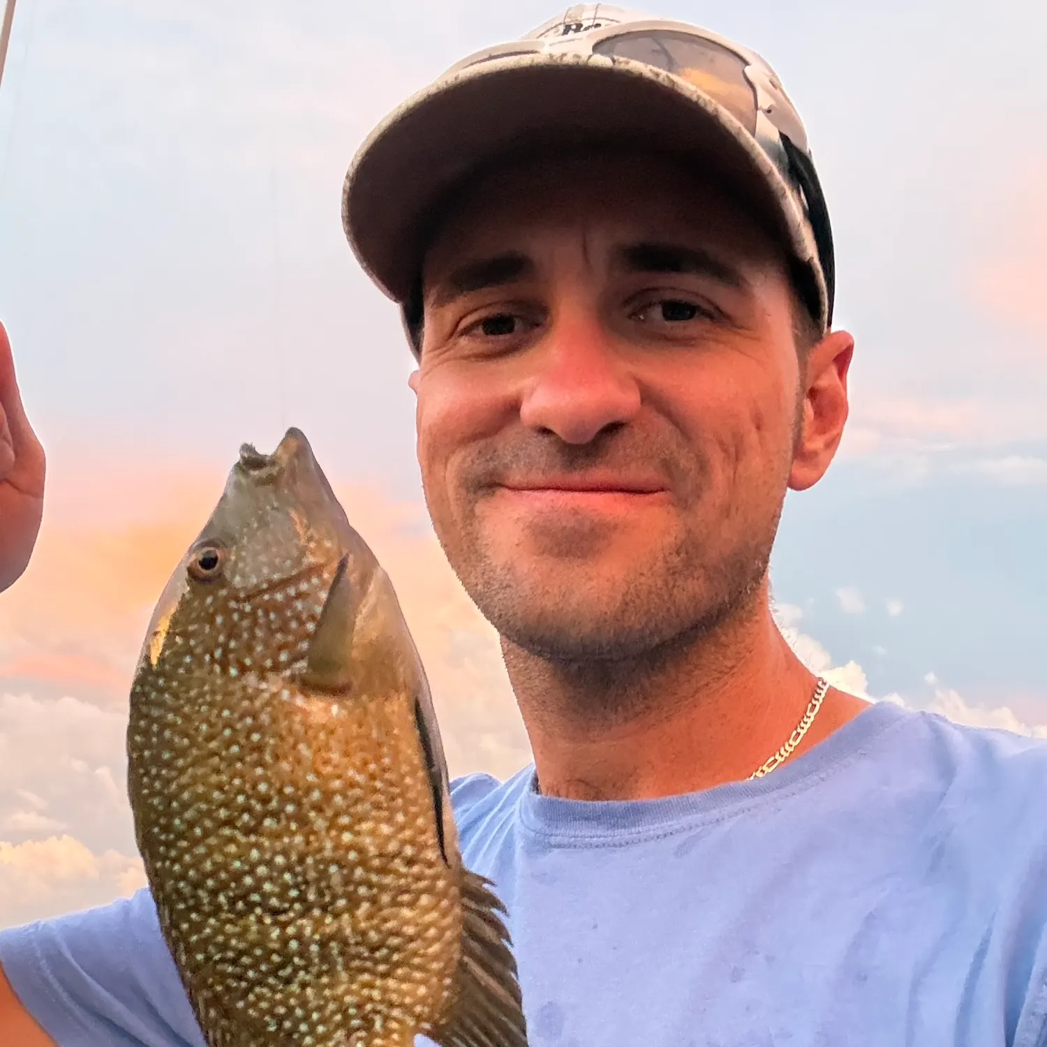 Rio Grande cichlid caught on Fishbrain