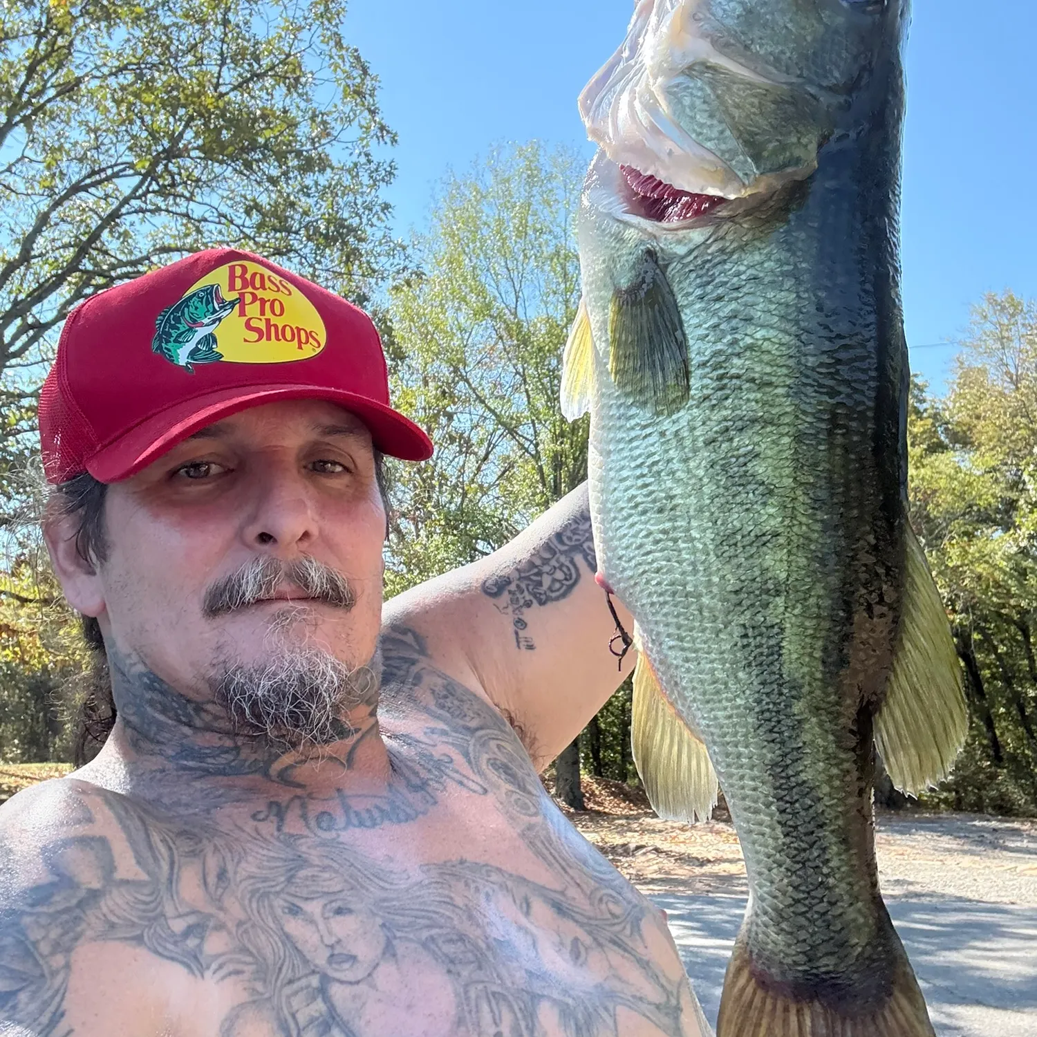Largemouth bass caught on Fishbrain