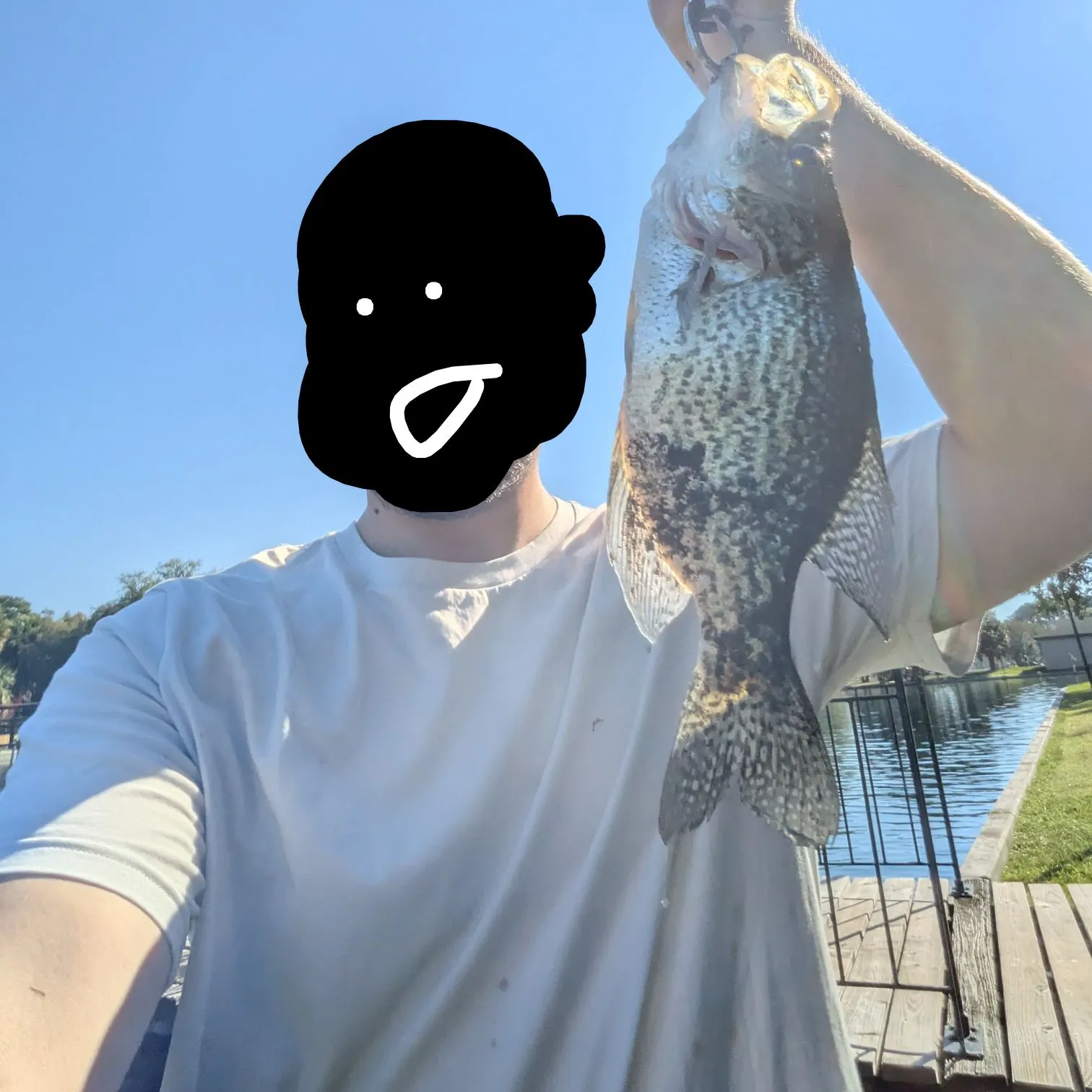 Black crappie caught on Fishbrain