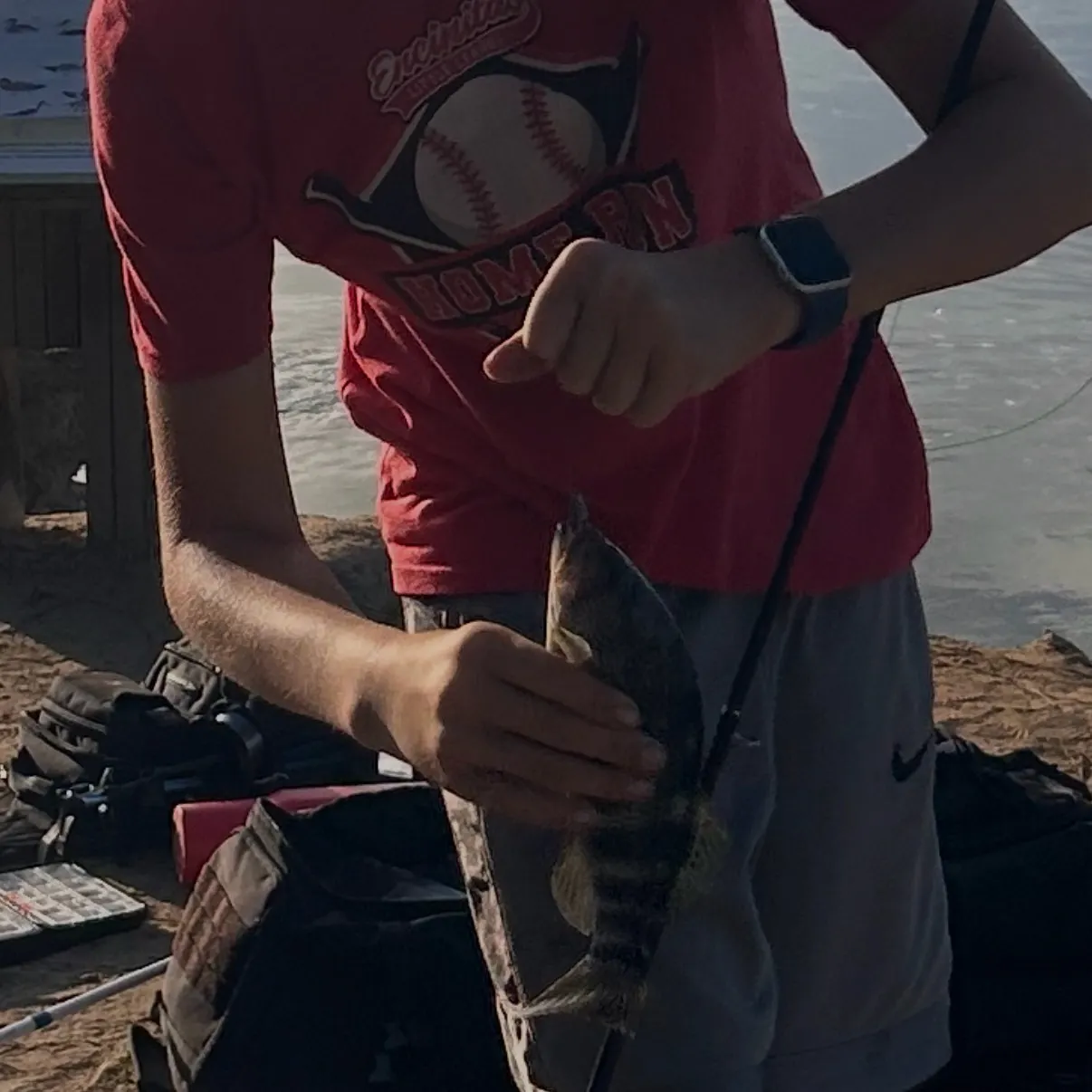 The most recent Spotted sand bass catches on Fishbrain