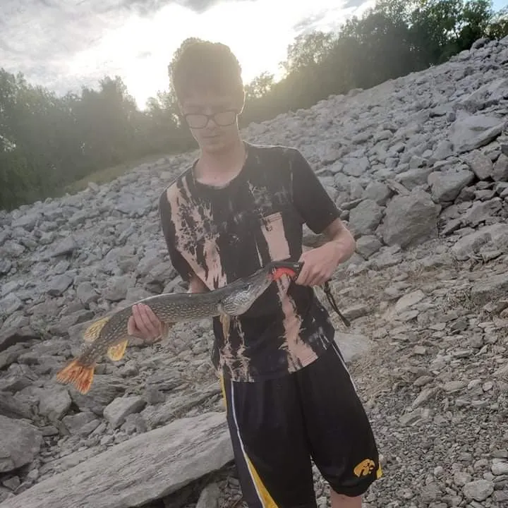 Northern pike caught on Fishbrain
