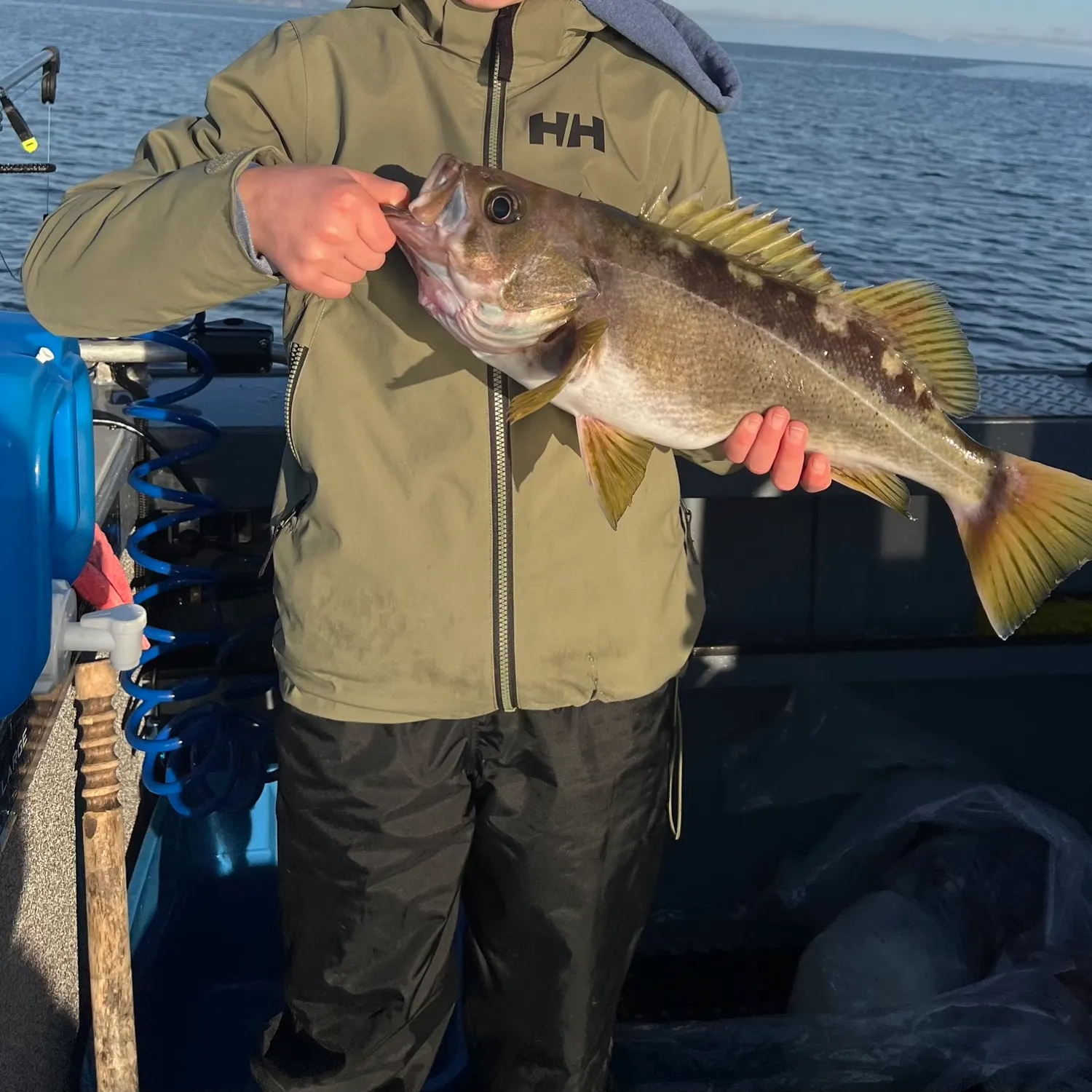 The most recent Yelloweye rockfish catches on Fishbrain