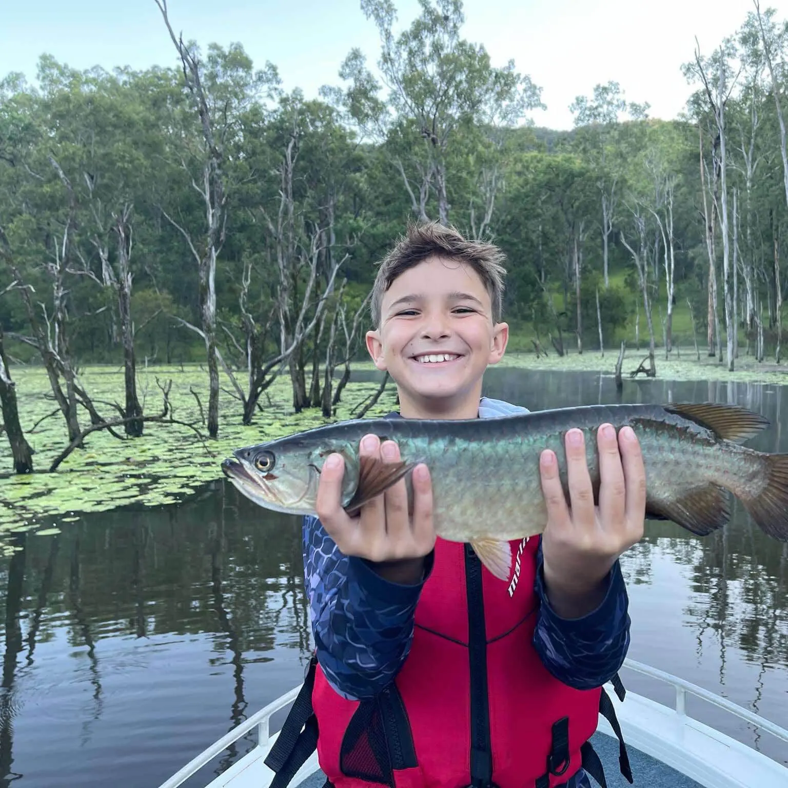 The most recent Spotted bonytongue catches on Fishbrain