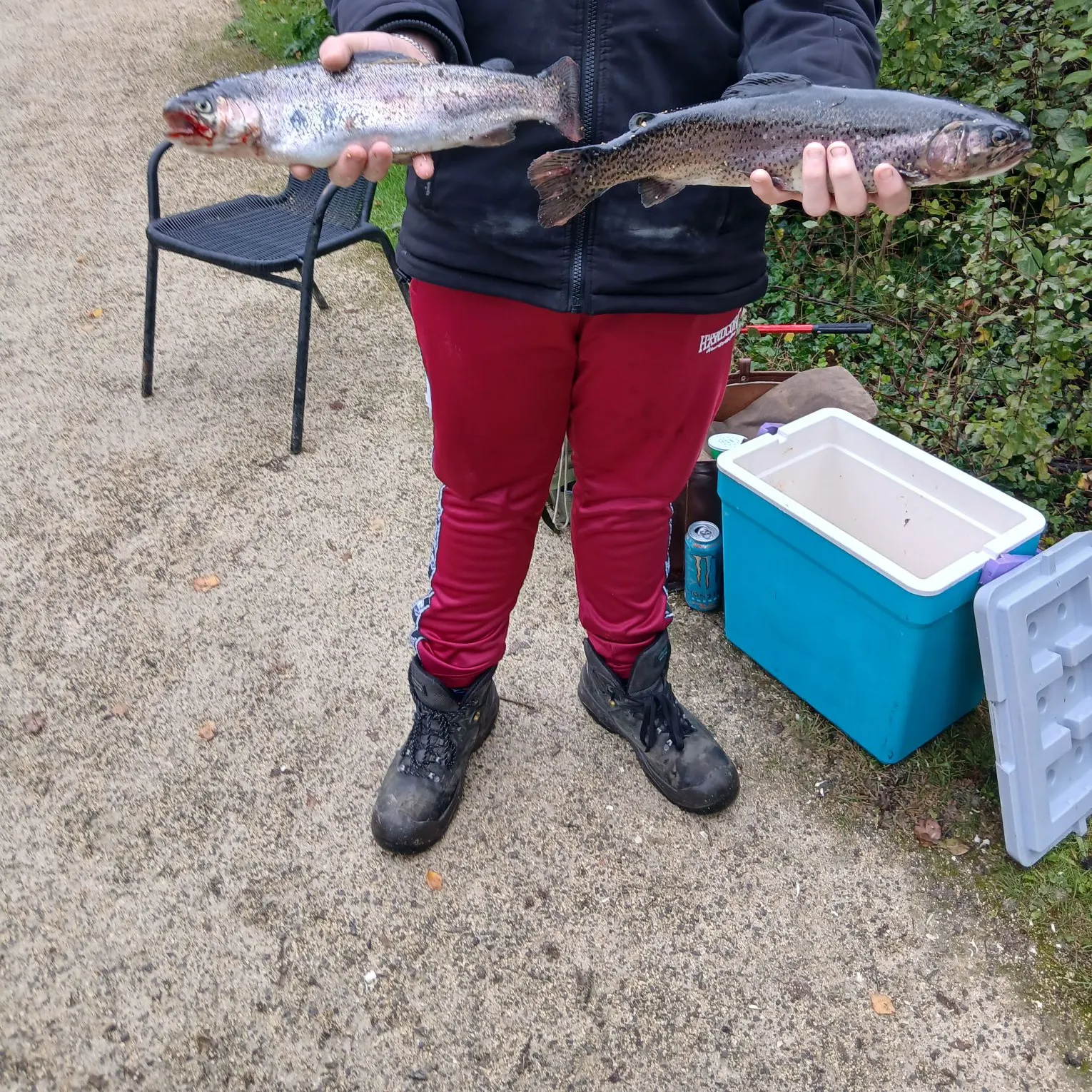 Rainbow trout caught on Fishbrain