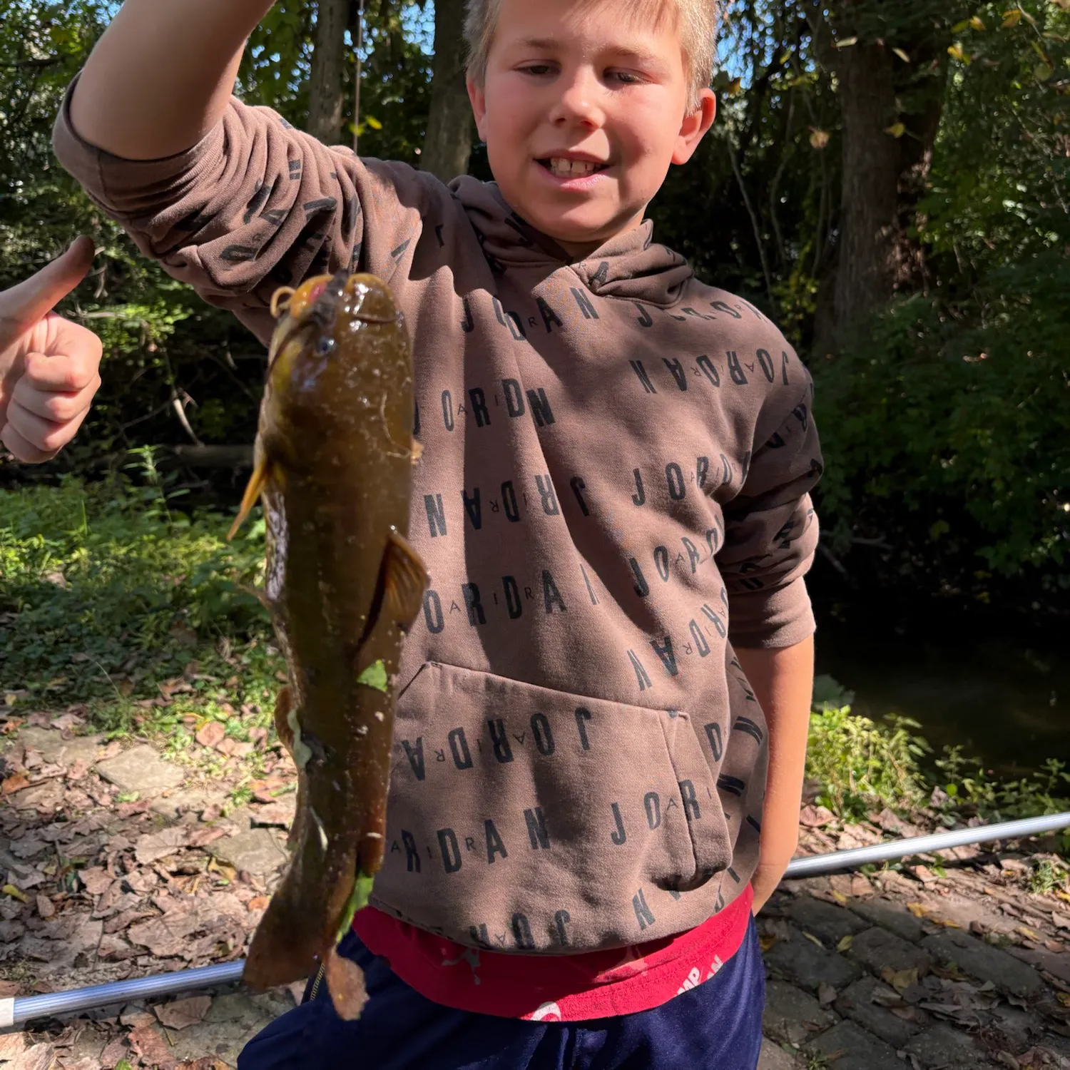 Yellow bullhead caught on Fishbrain