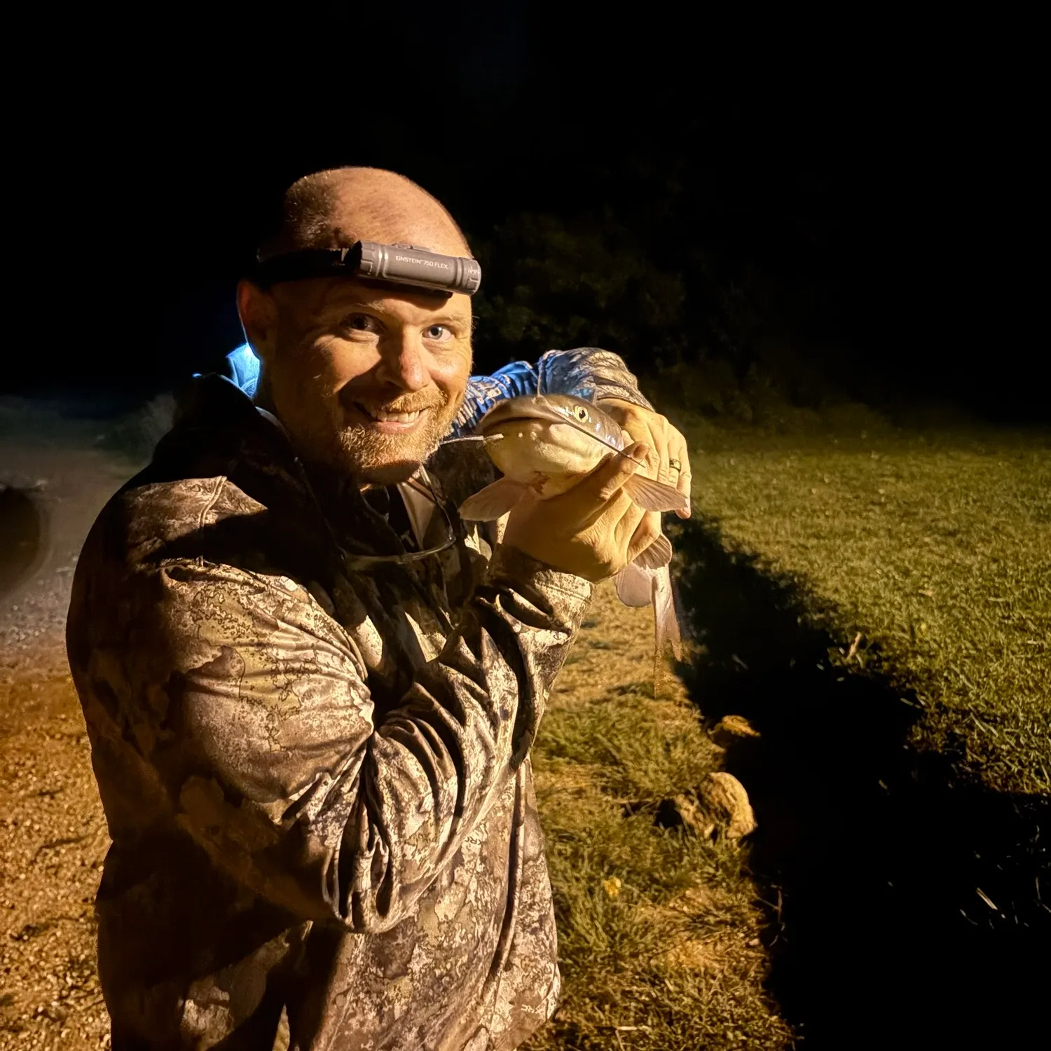 Channel catfish caught on Fishbrain