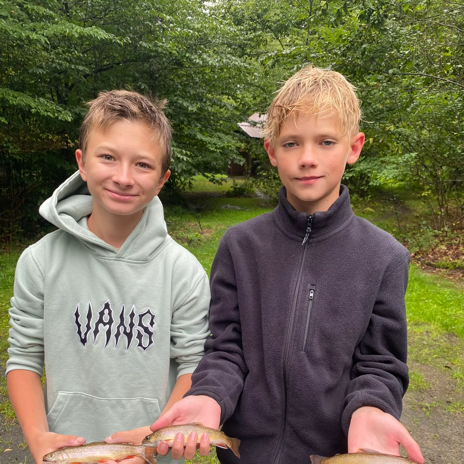 Brook trout caught on Fishbrain