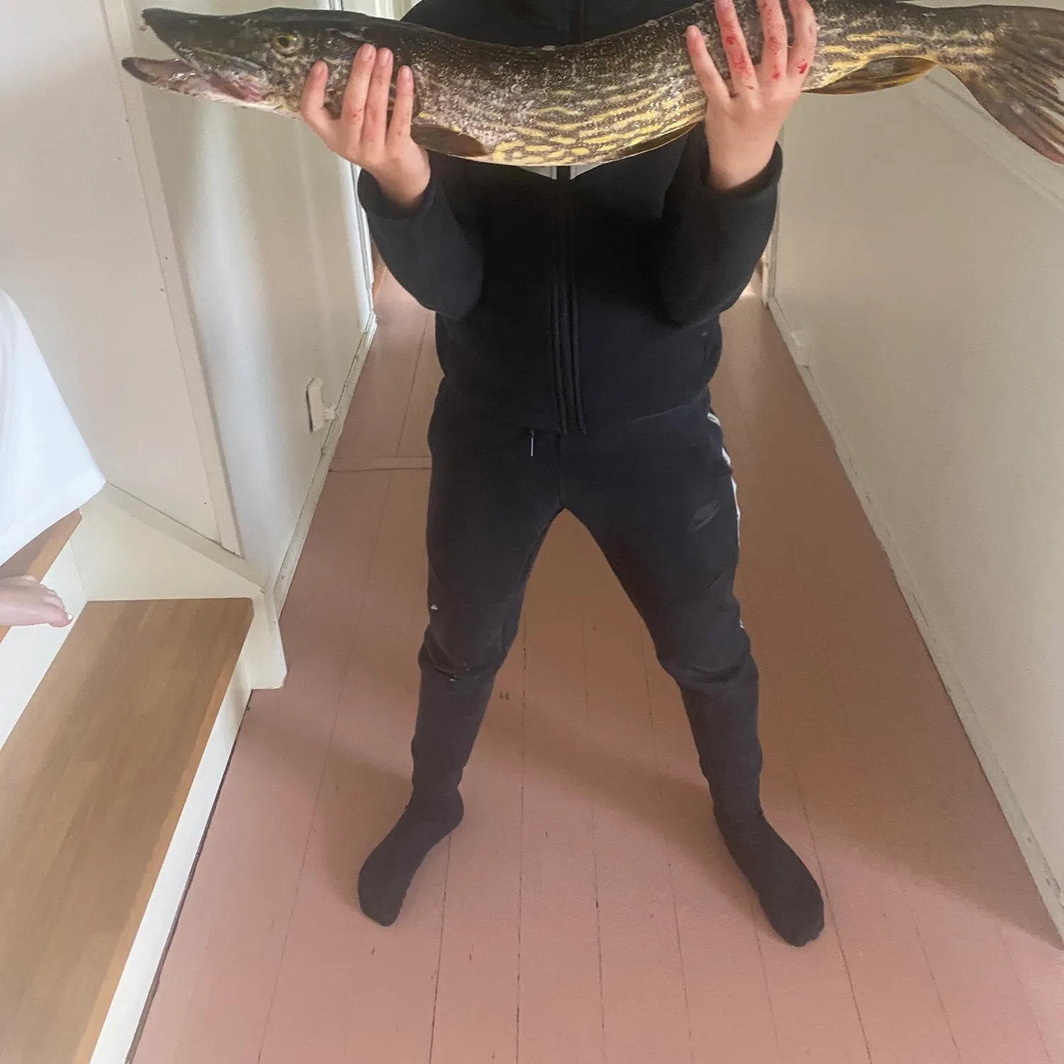 Northern pike caught on Fishbrain