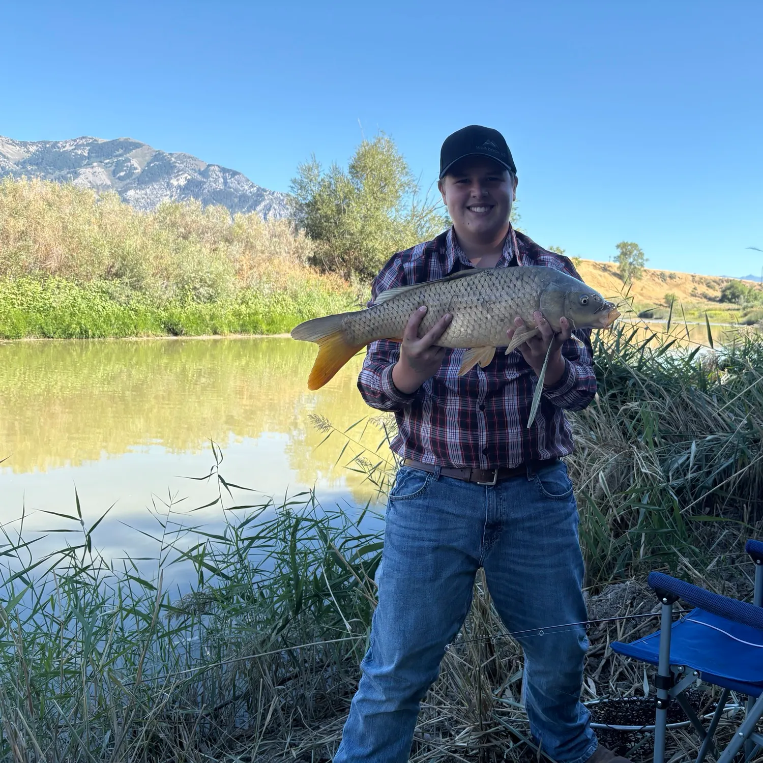 Common carp caught on Fishbrain