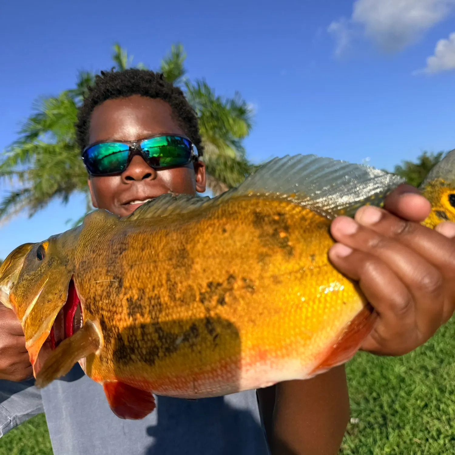 Butterfly peacock bass caught on Fishbrain