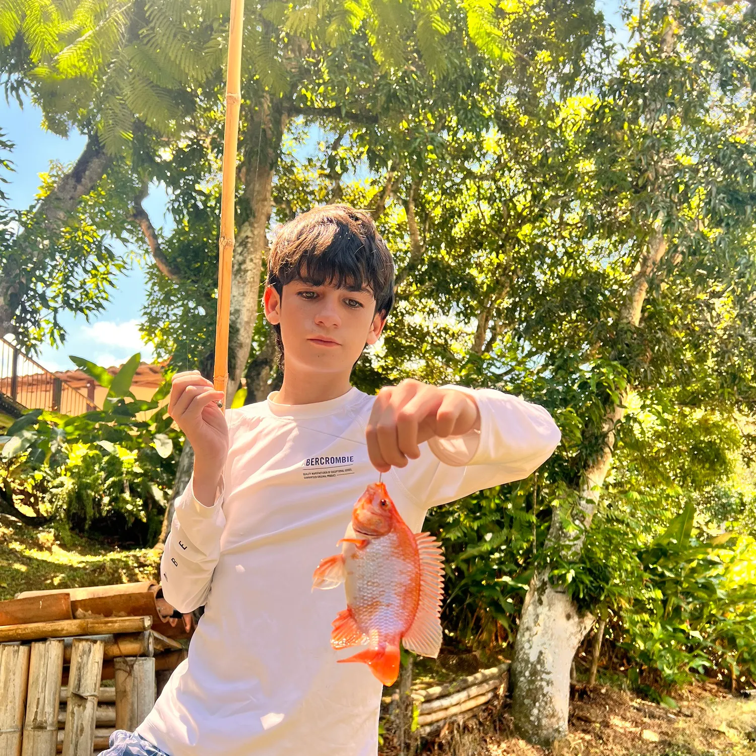 Red tilapia caught on Fishbrain