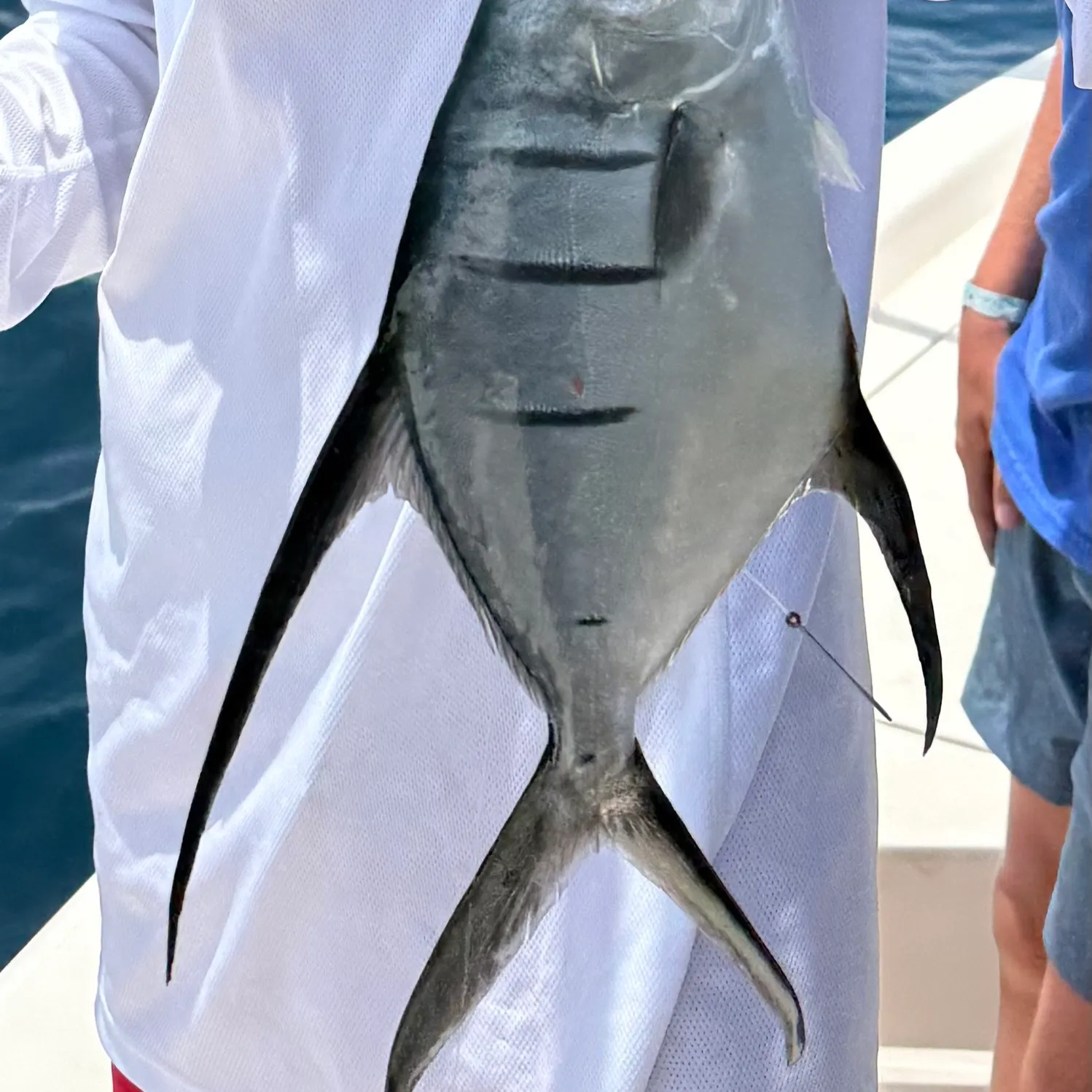 The most recent African pompano catches on Fishbrain