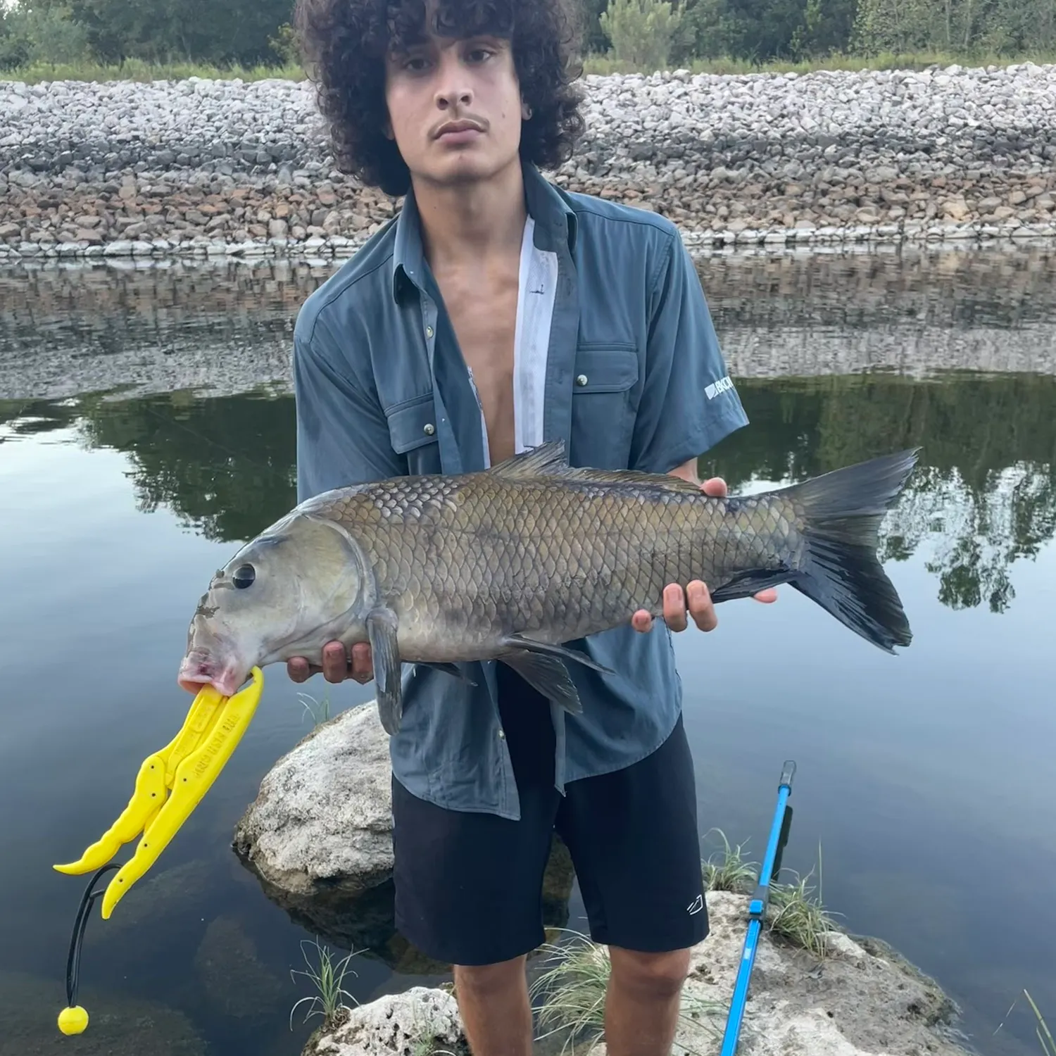 The most recent Smallmouth x black buffalo catches on Fishbrain