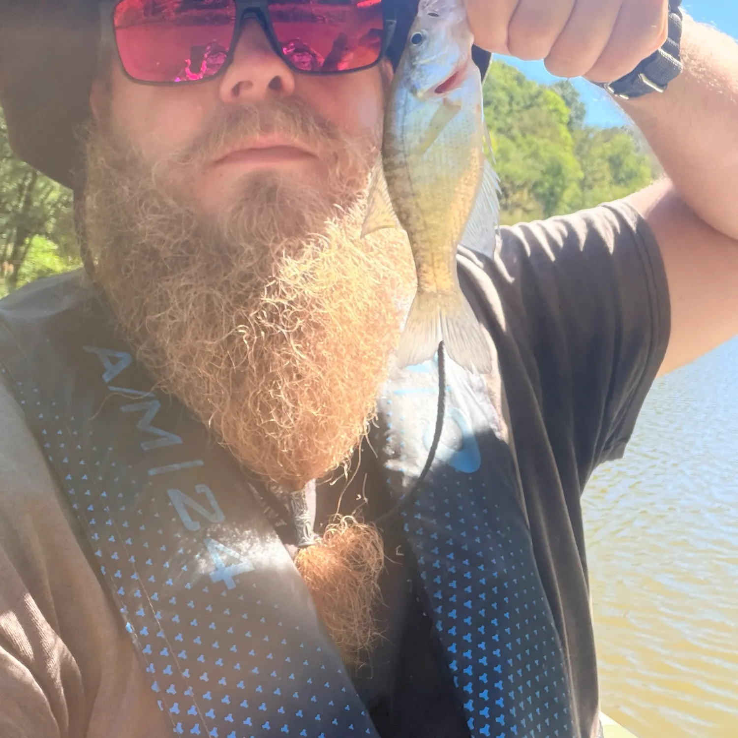 White crappie caught on Fishbrain