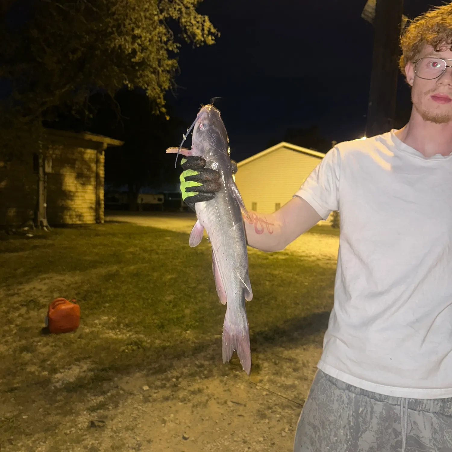 Blue catfish caught on Fishbrain