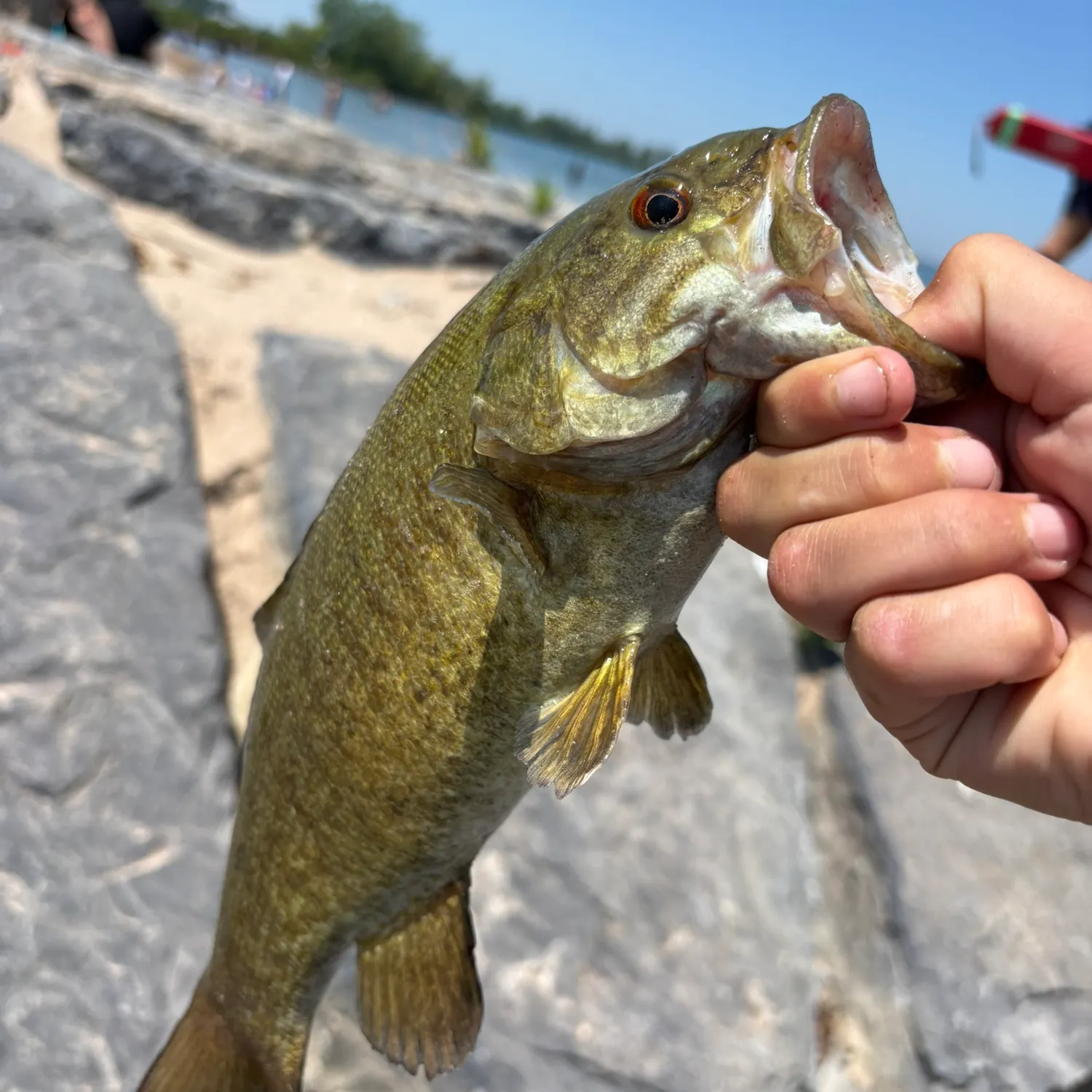 catch
