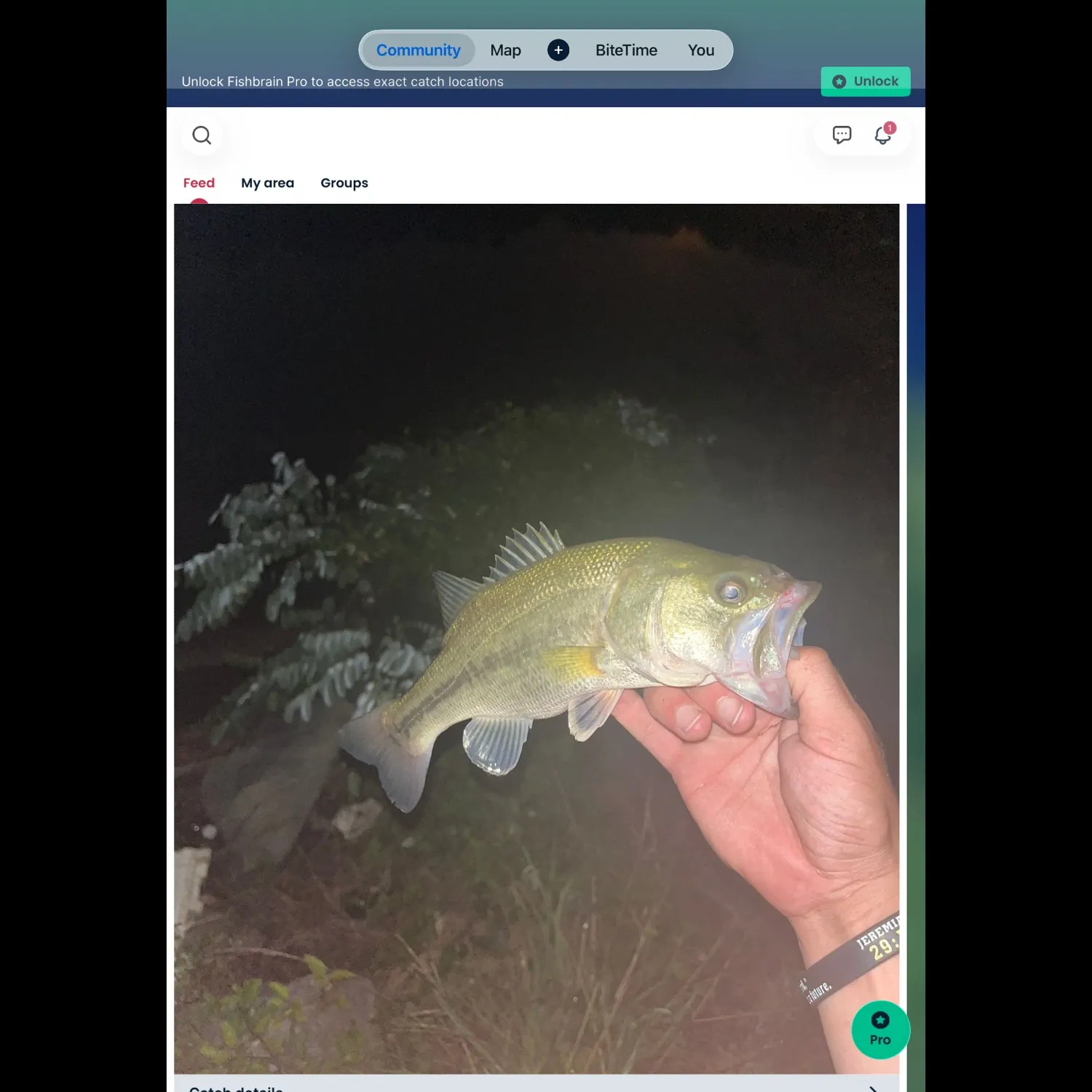 recently logged catches