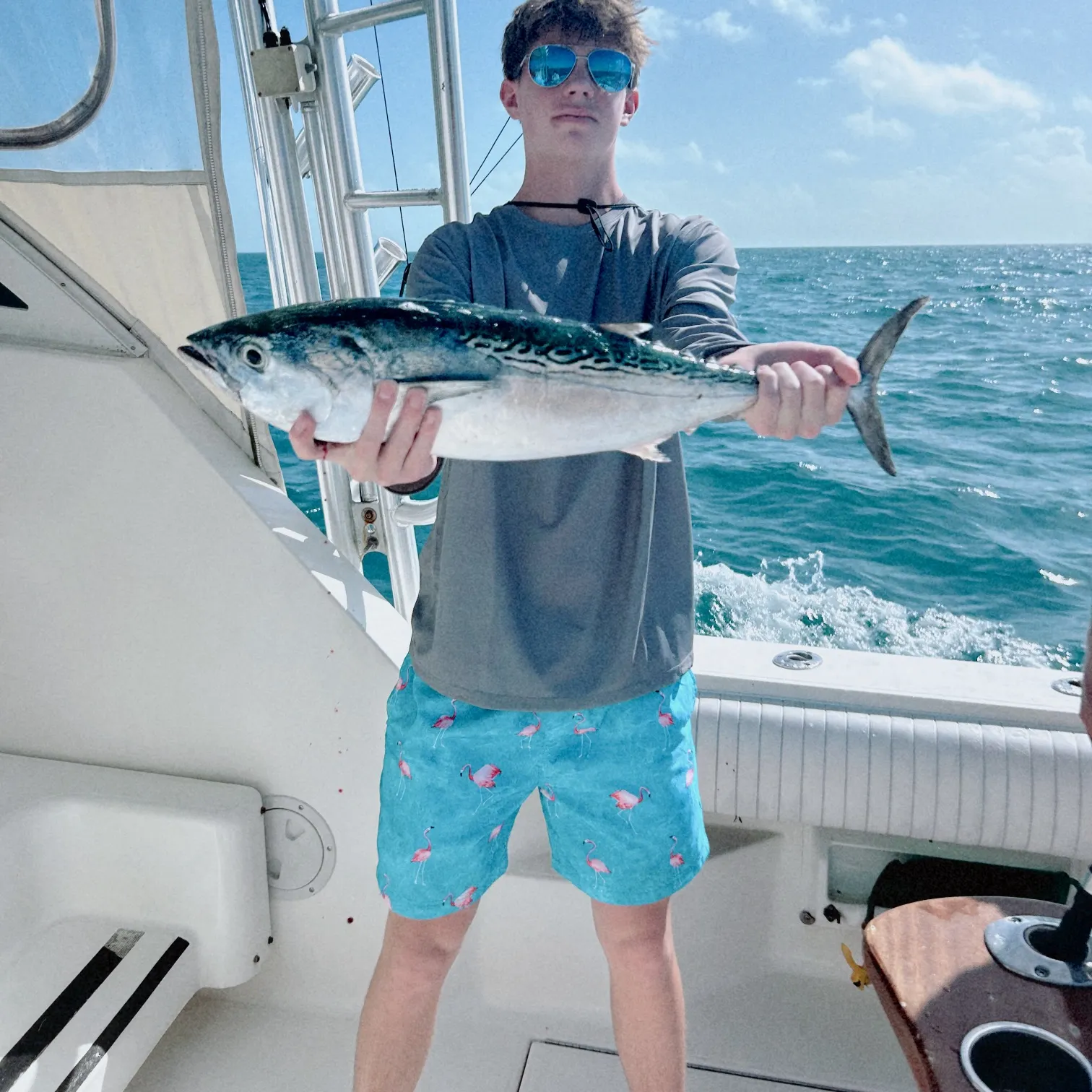The most recent Australian bonito catches on Fishbrain