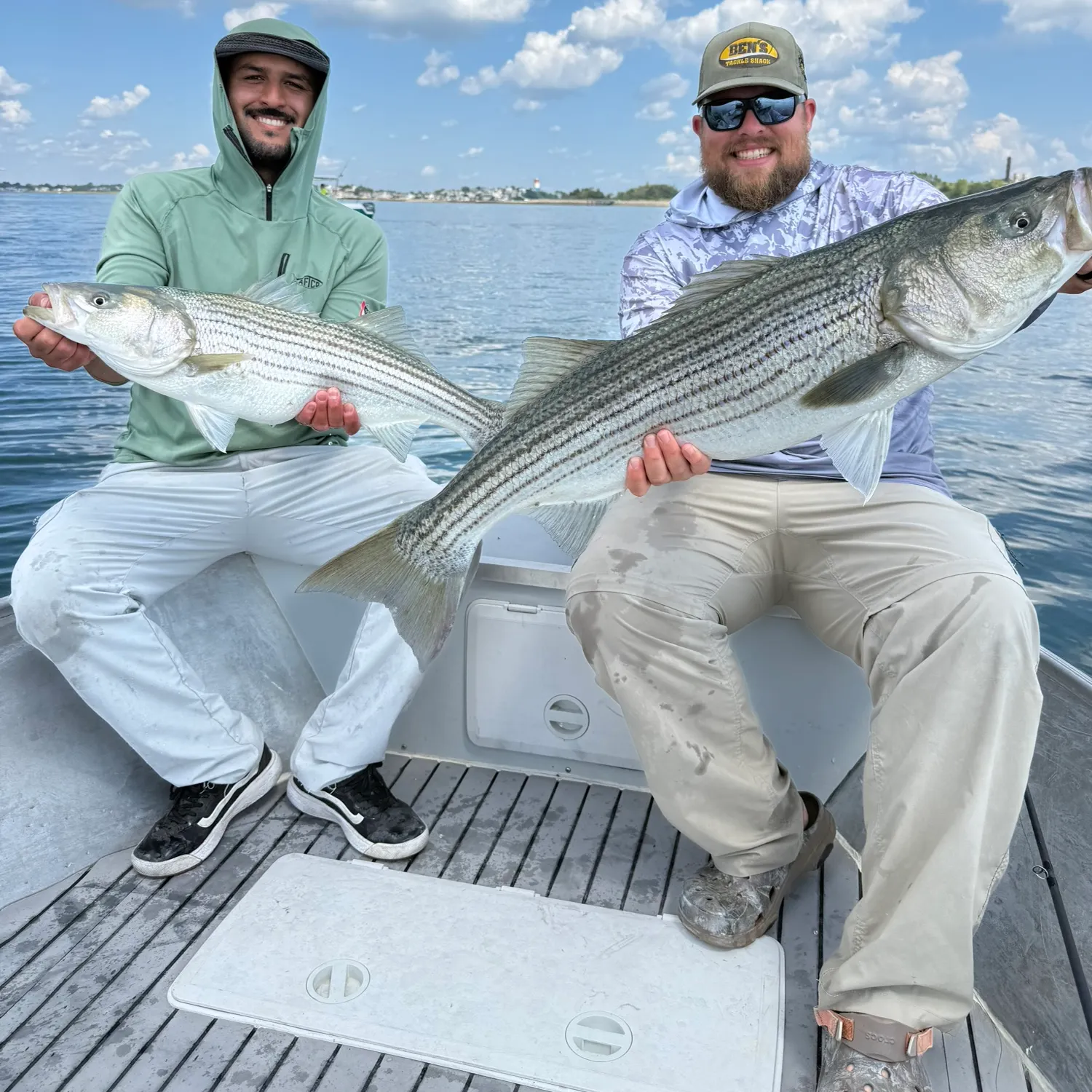 Striped bass caught on Fishbrain