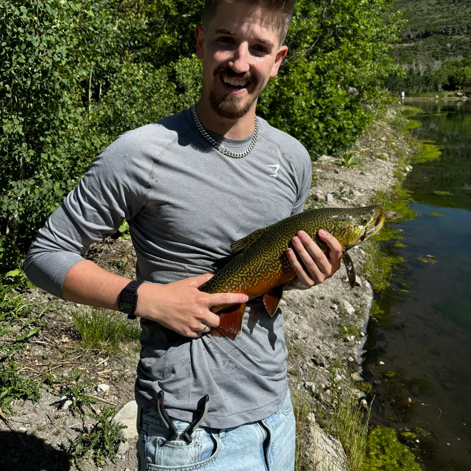Tiger trout caught on Fishbrain