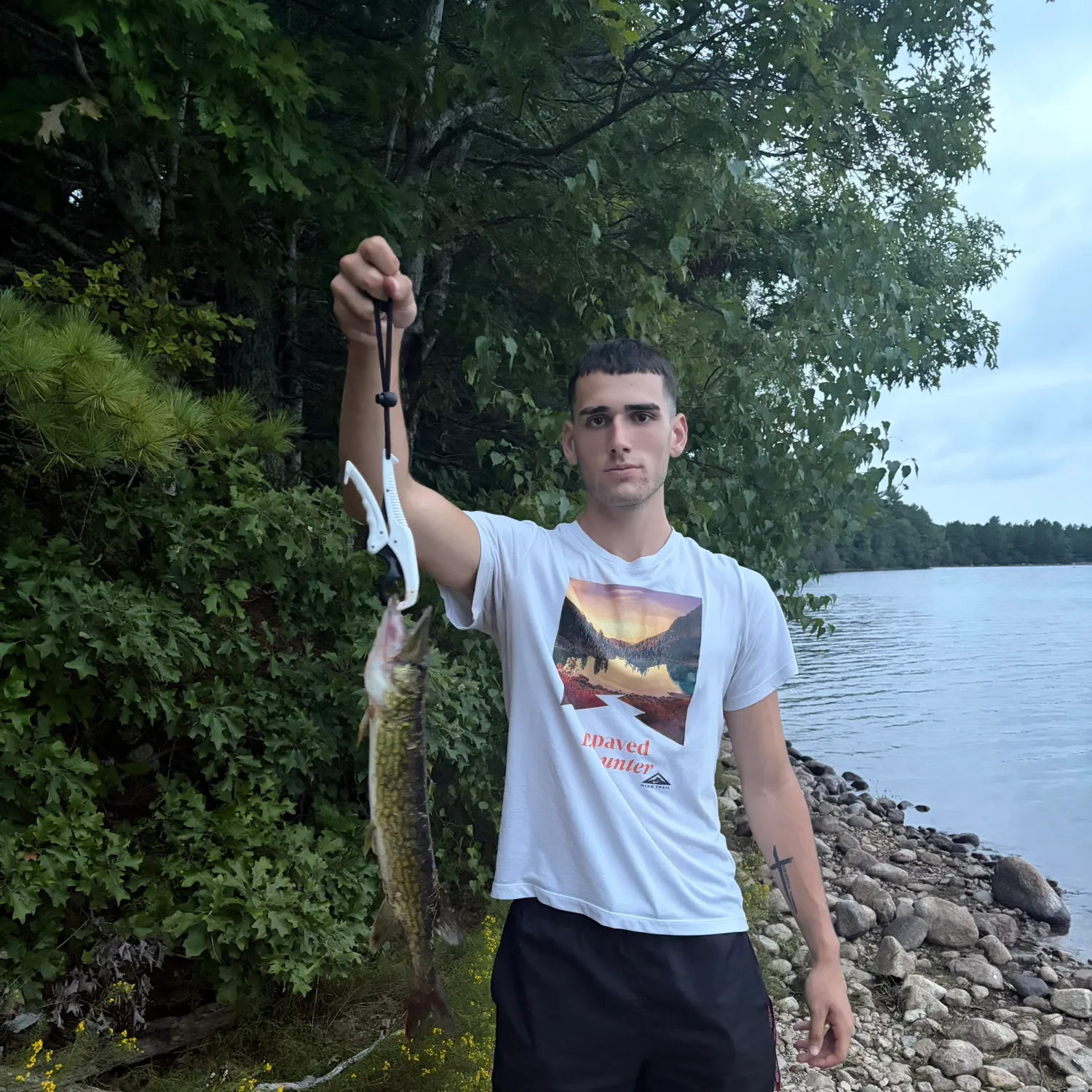 Chain pickerel caught on Fishbrain
