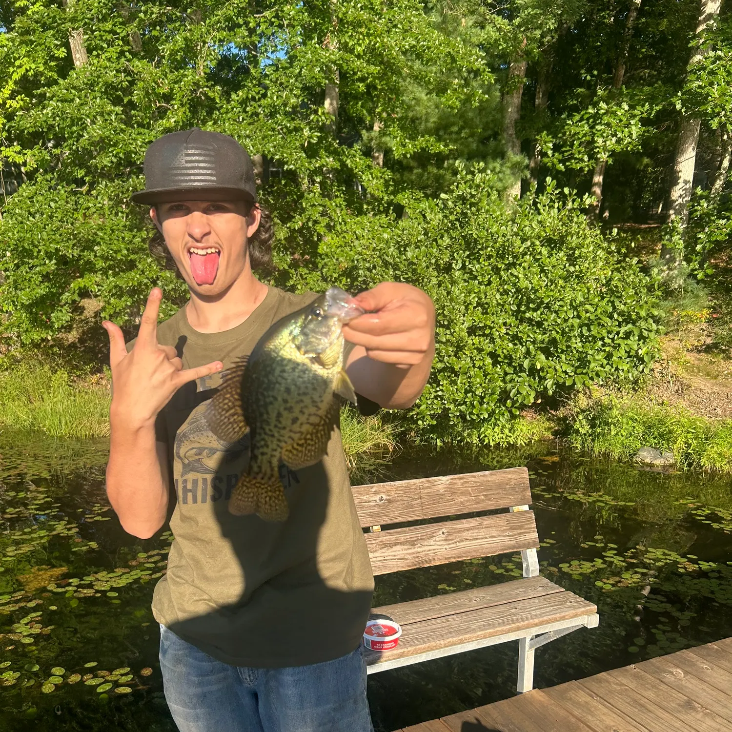 Black crappie caught on Fishbrain