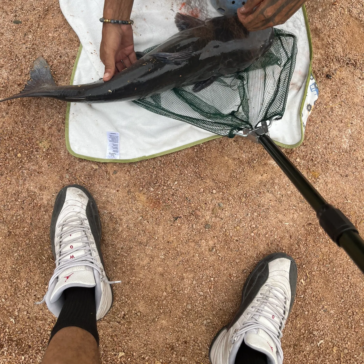 catch