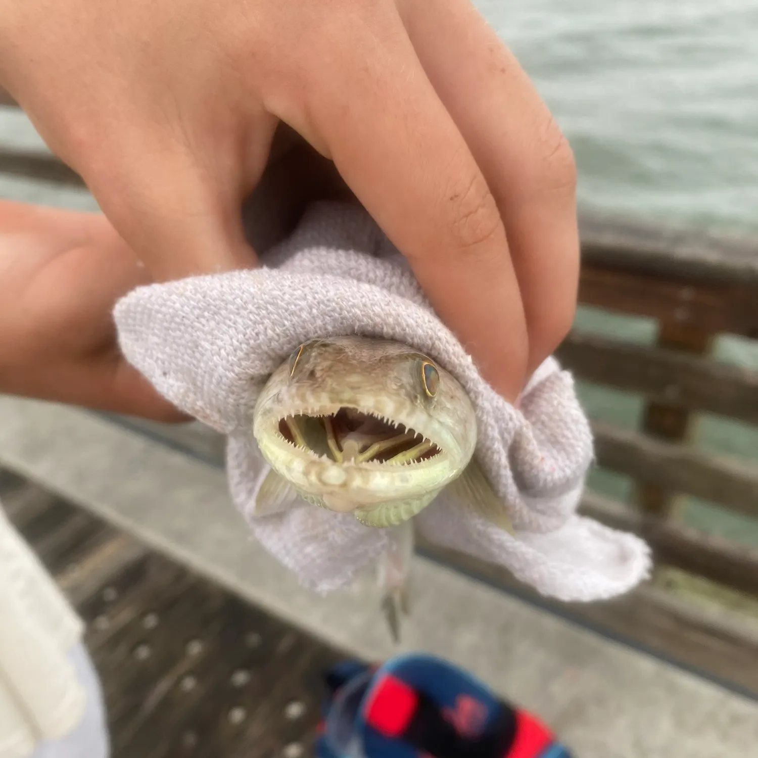 catch