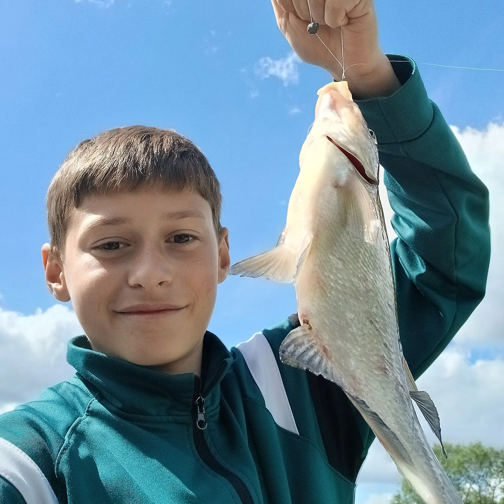 The most recent White bream catches on Fishbrain