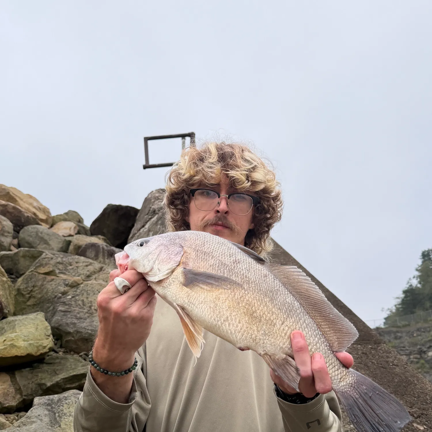 Freshwater drum caught on Fishbrain