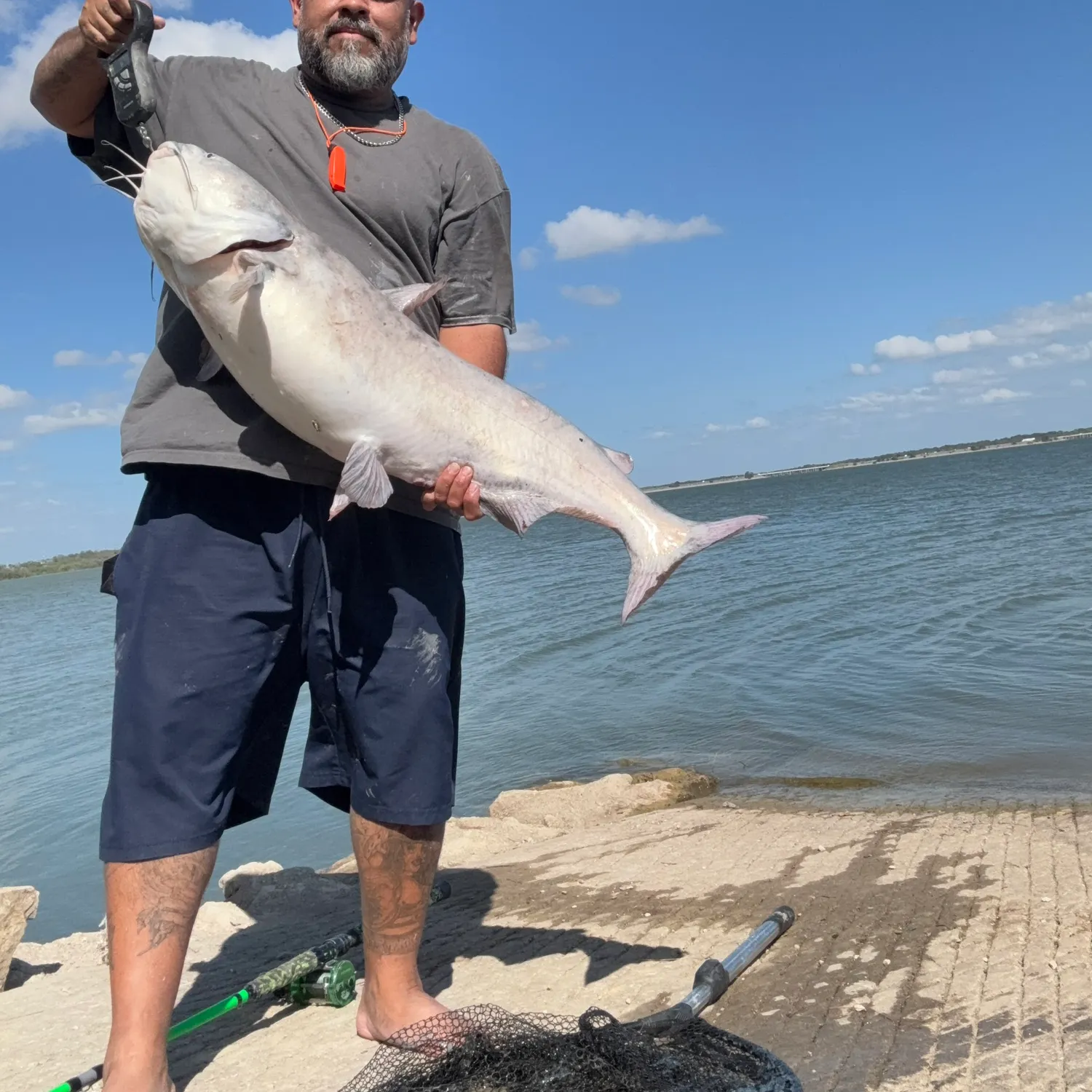 Blue catfish caught on Fishbrain