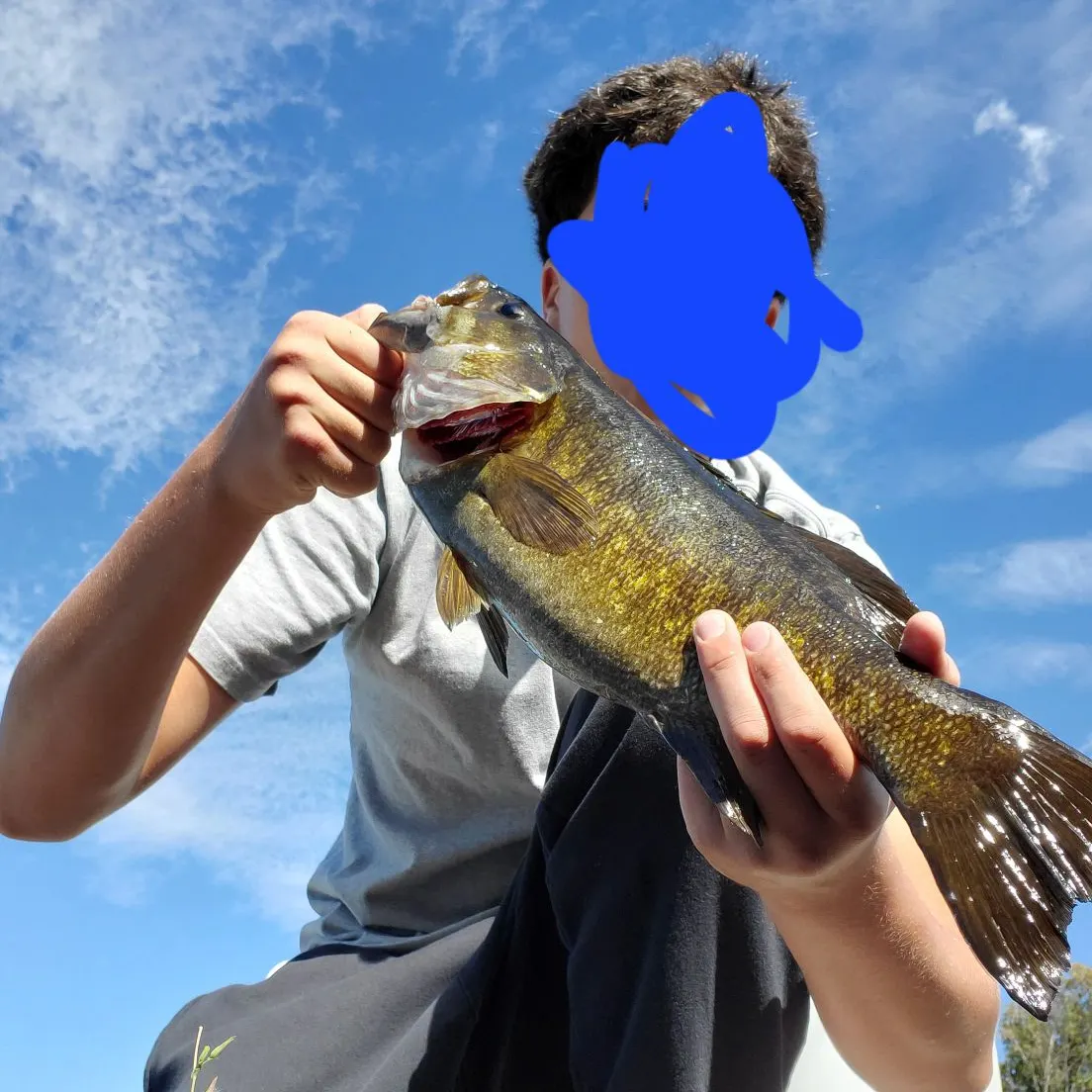 Smallmouth bass caught on Fishbrain