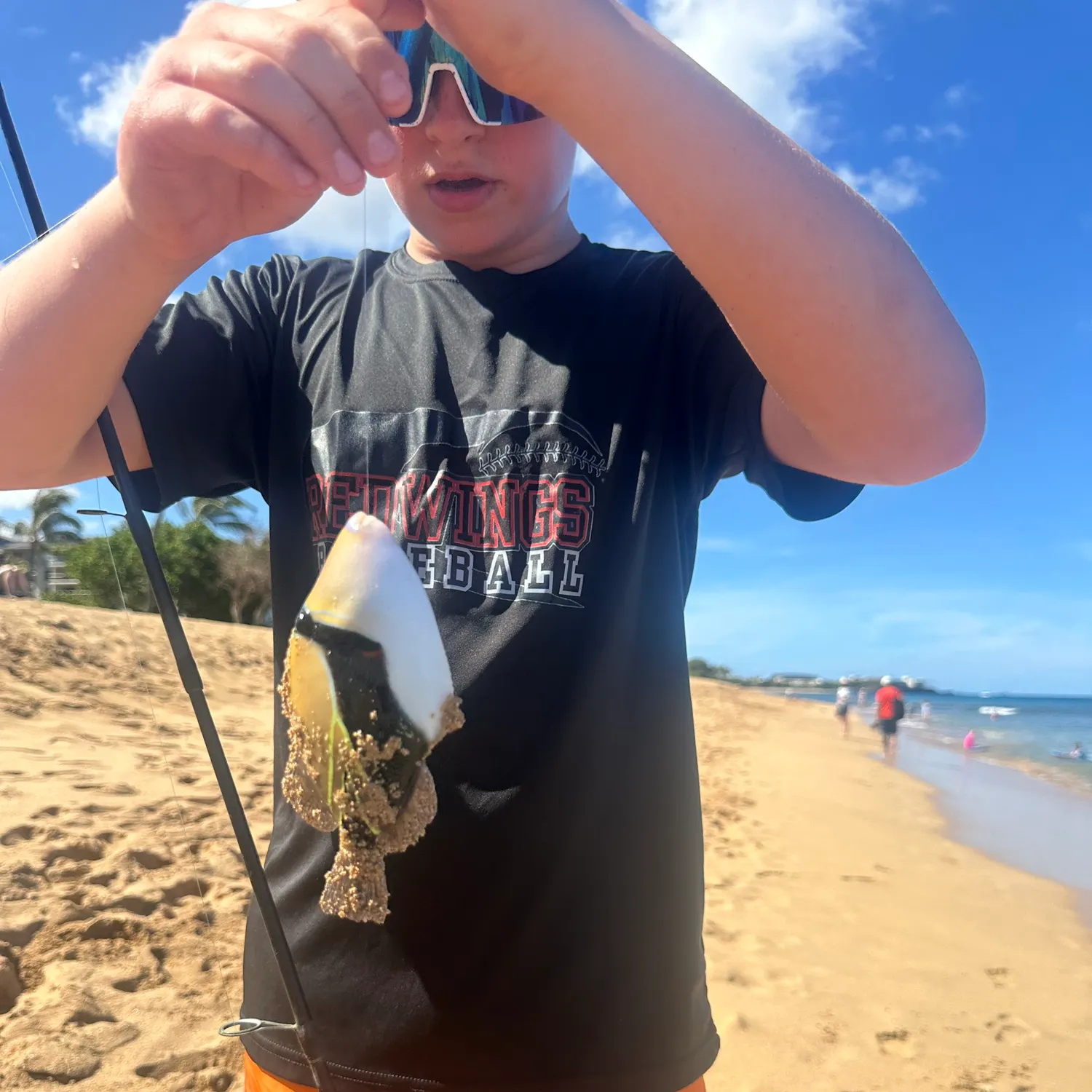 The most popular recent Picasso triggerfish catch on Fishbrain