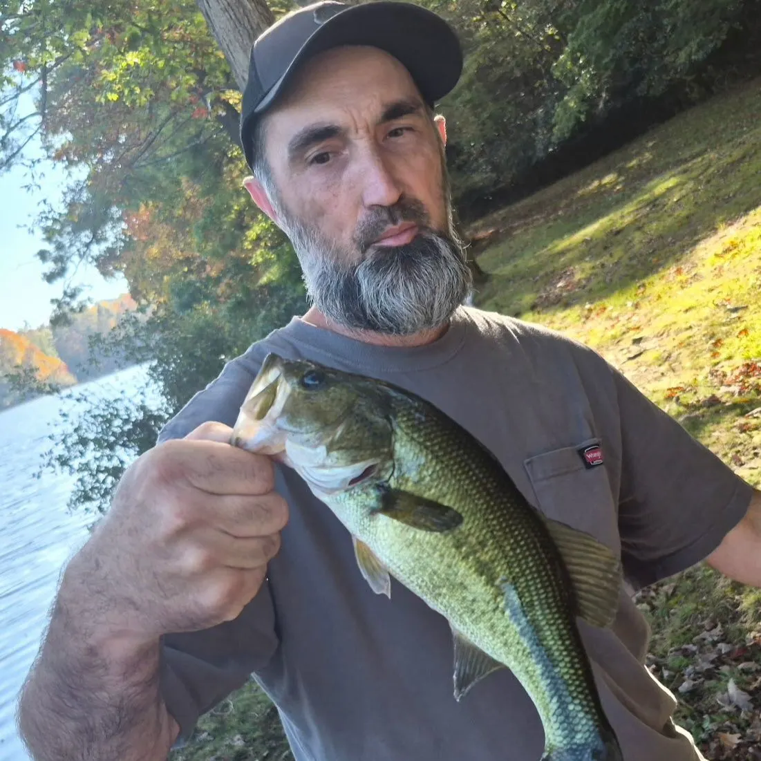 Largemouth bass caught on Fishbrain
